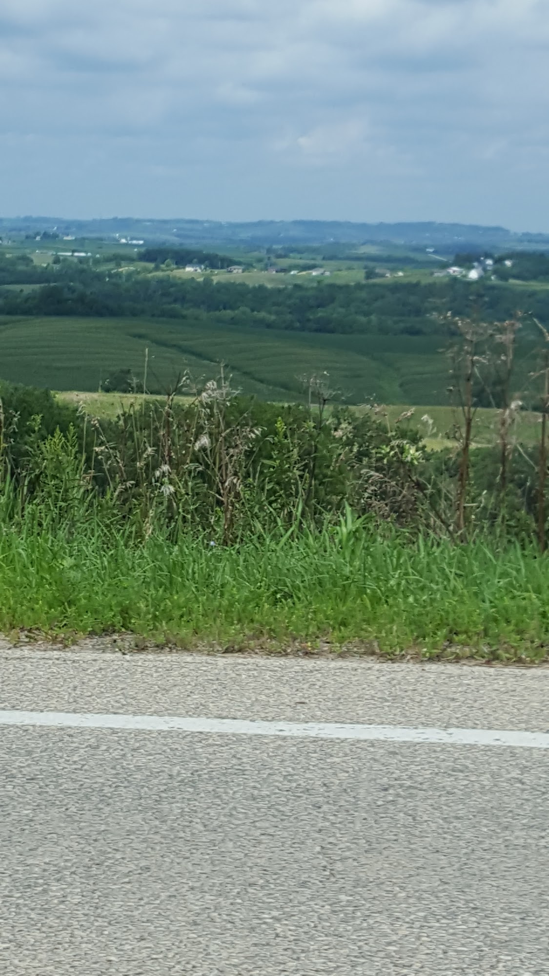 Miller Gray Construction Inc