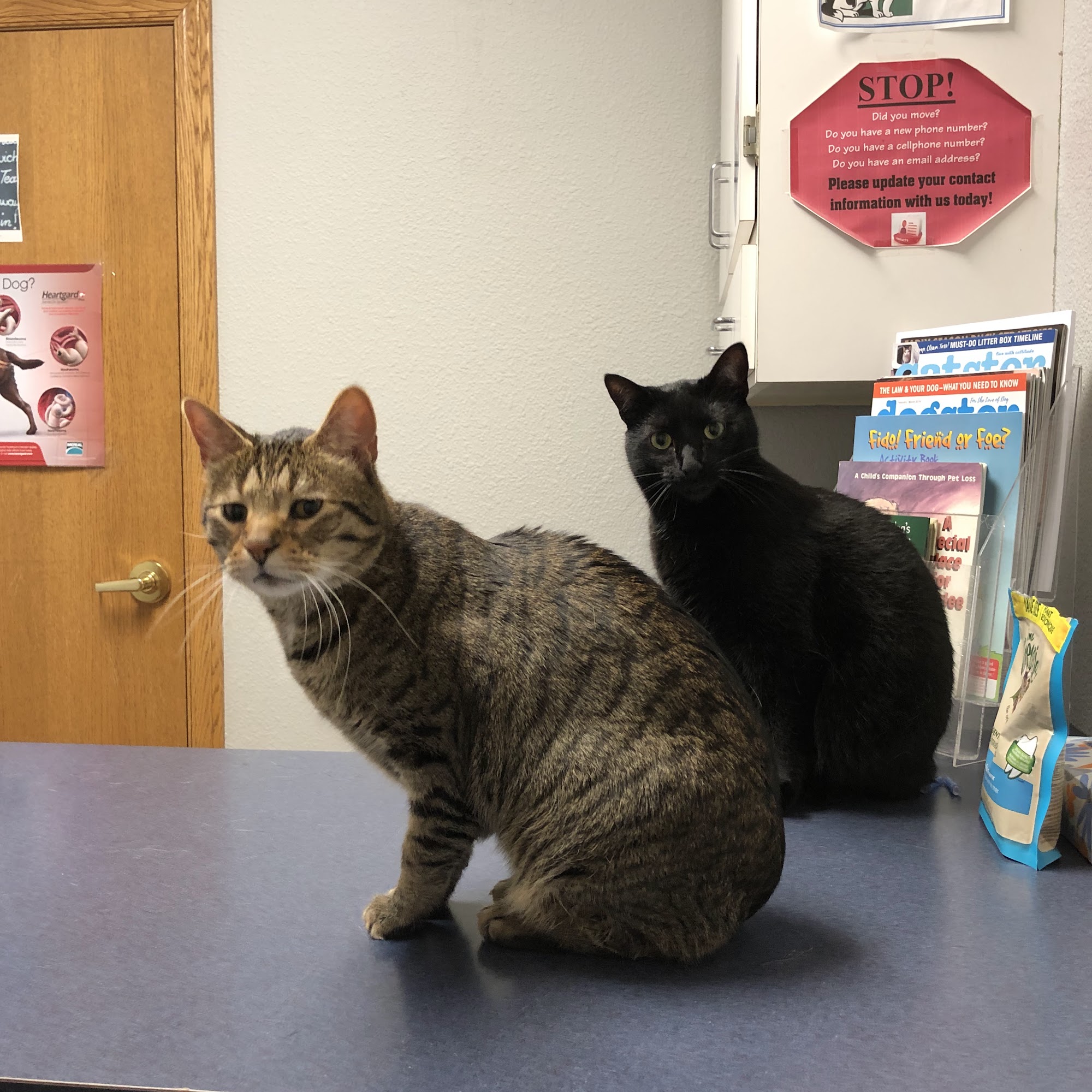 Tri Vet Associates Dyersville