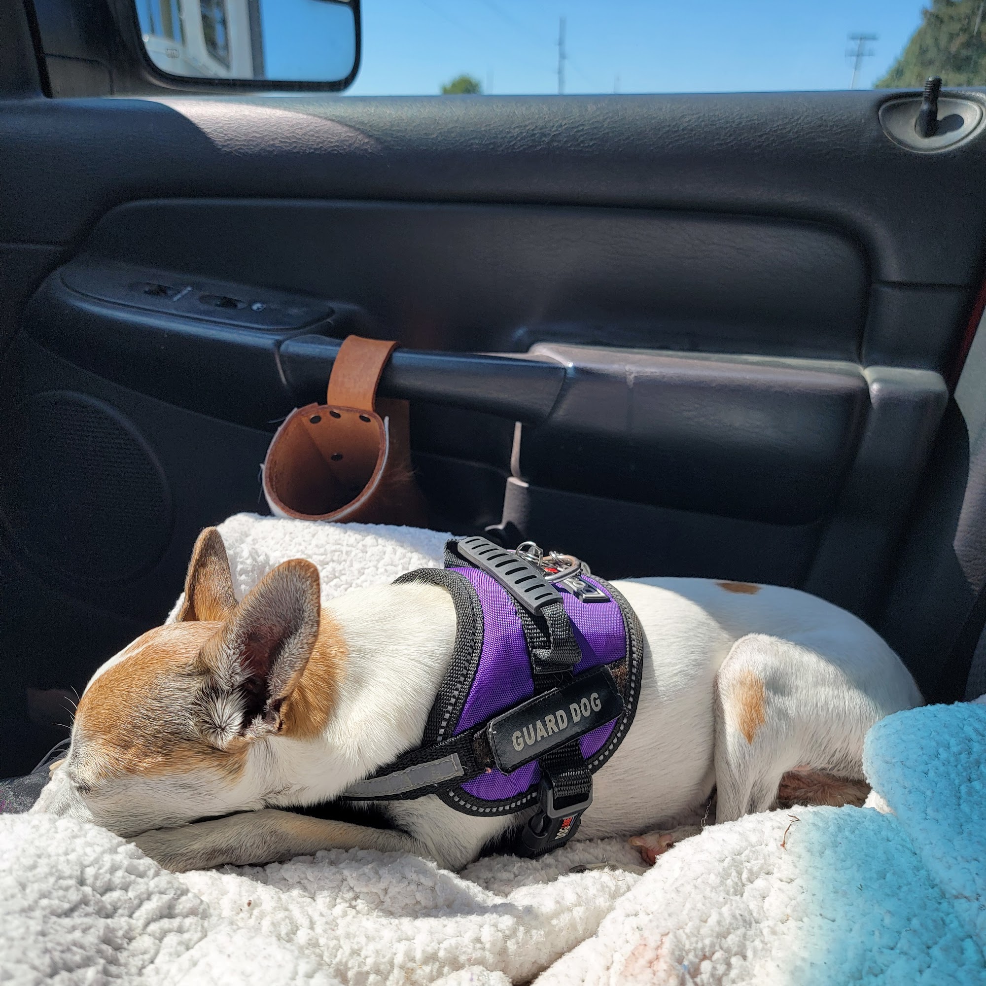 Elkader Veterinary Clinic PC Elkader