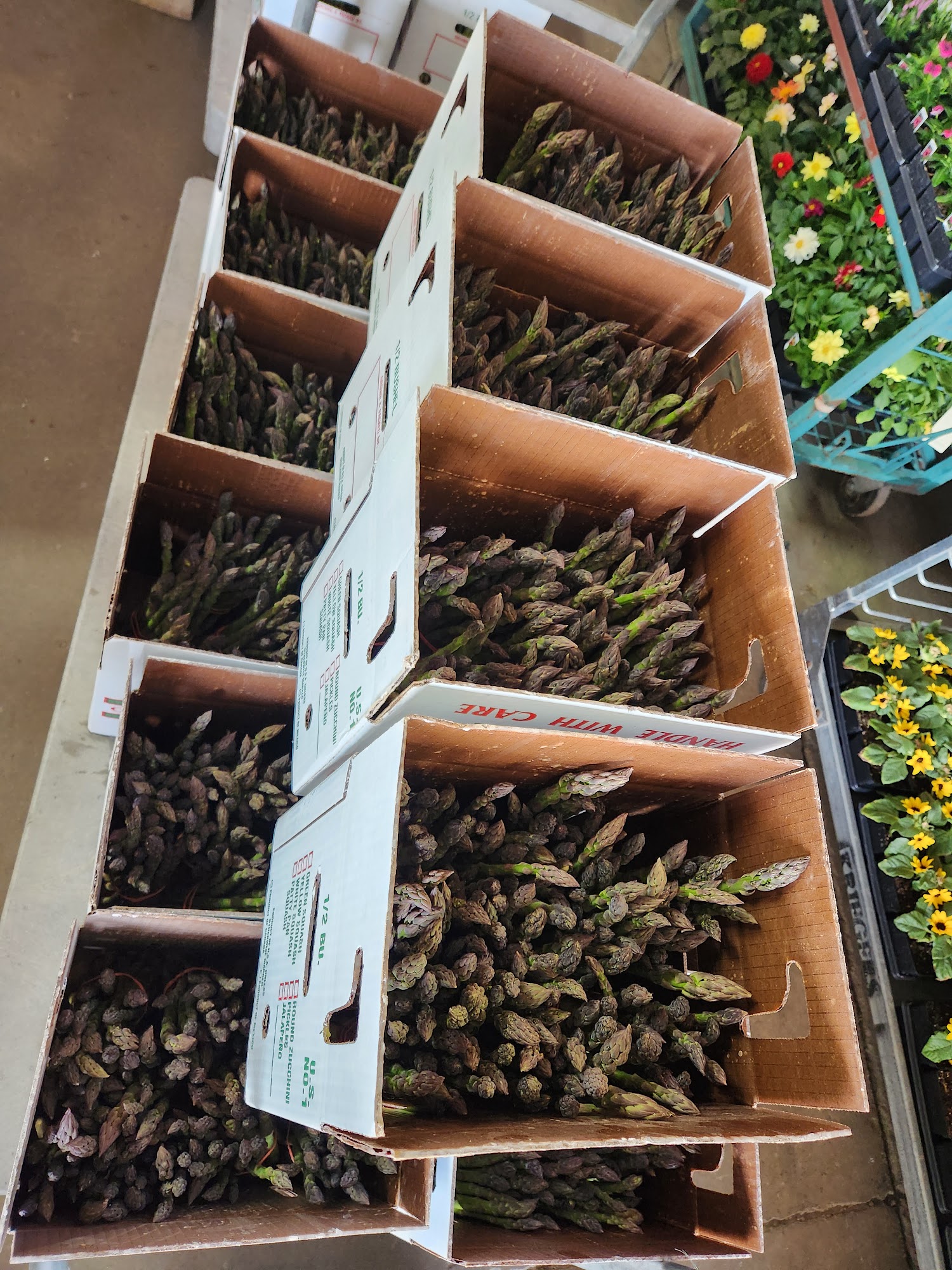 Cedar Valley Produce Auction Inc Elma