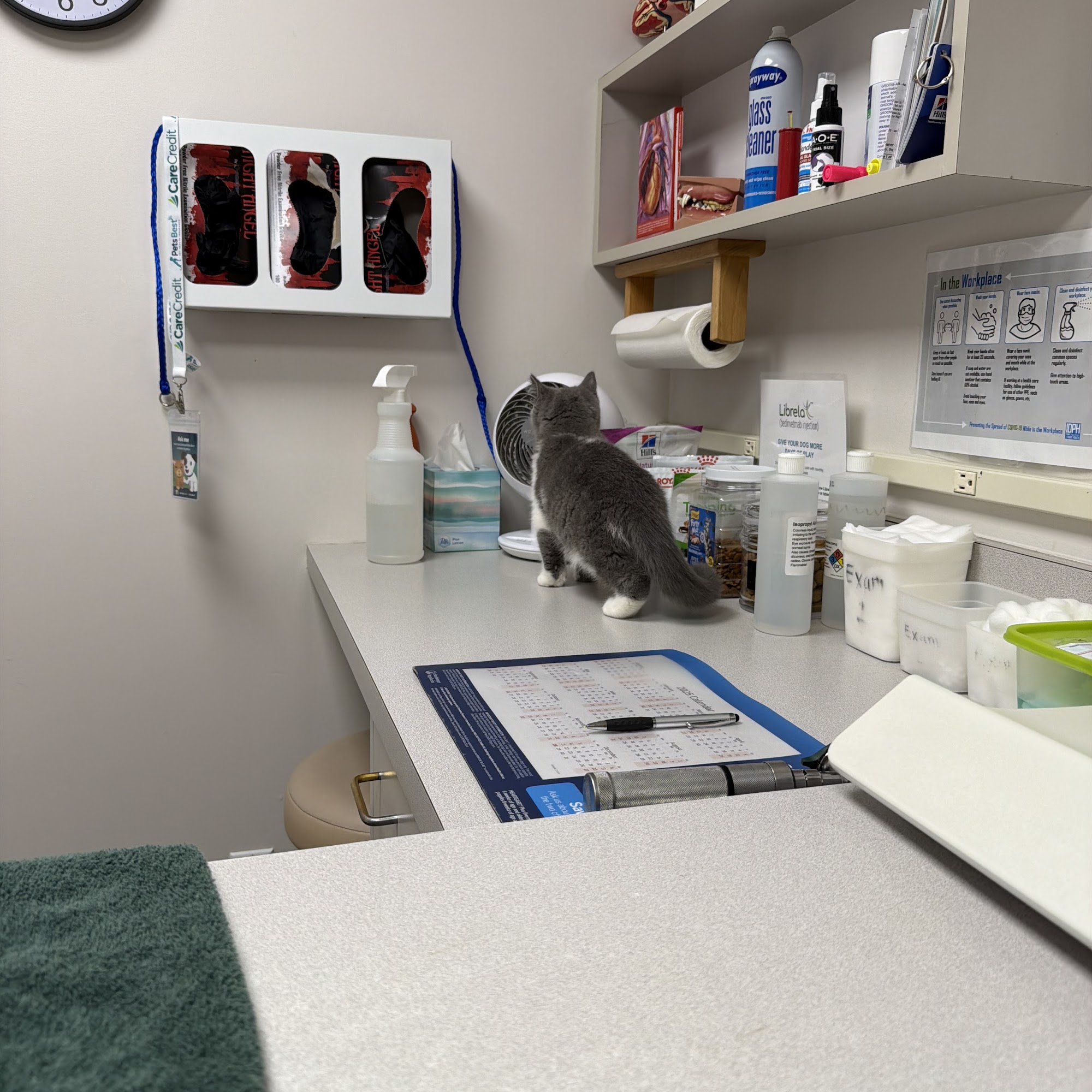 Veterinary Clinic Pc Fairfield