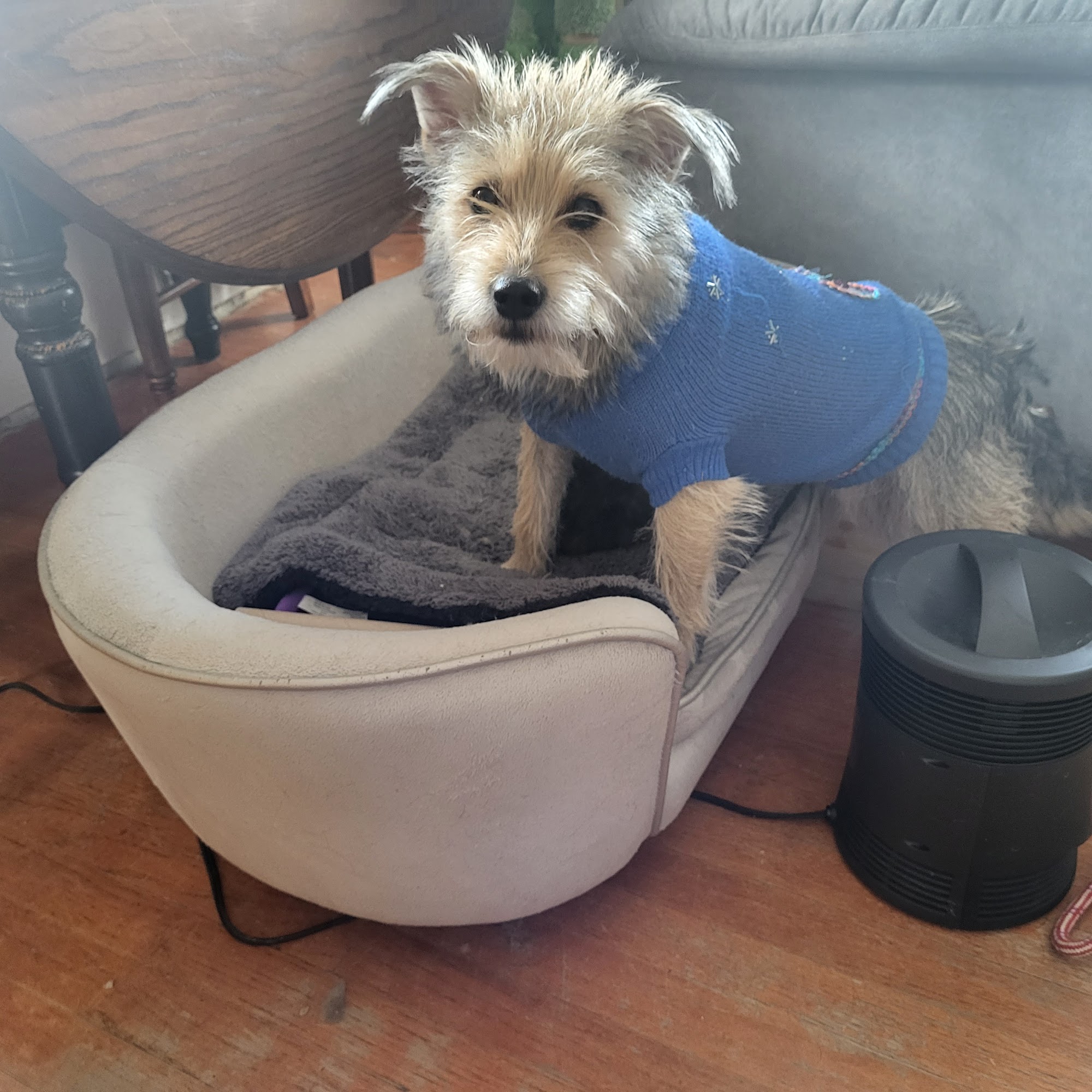 East Lawn Animal Hospital Fort Dodge