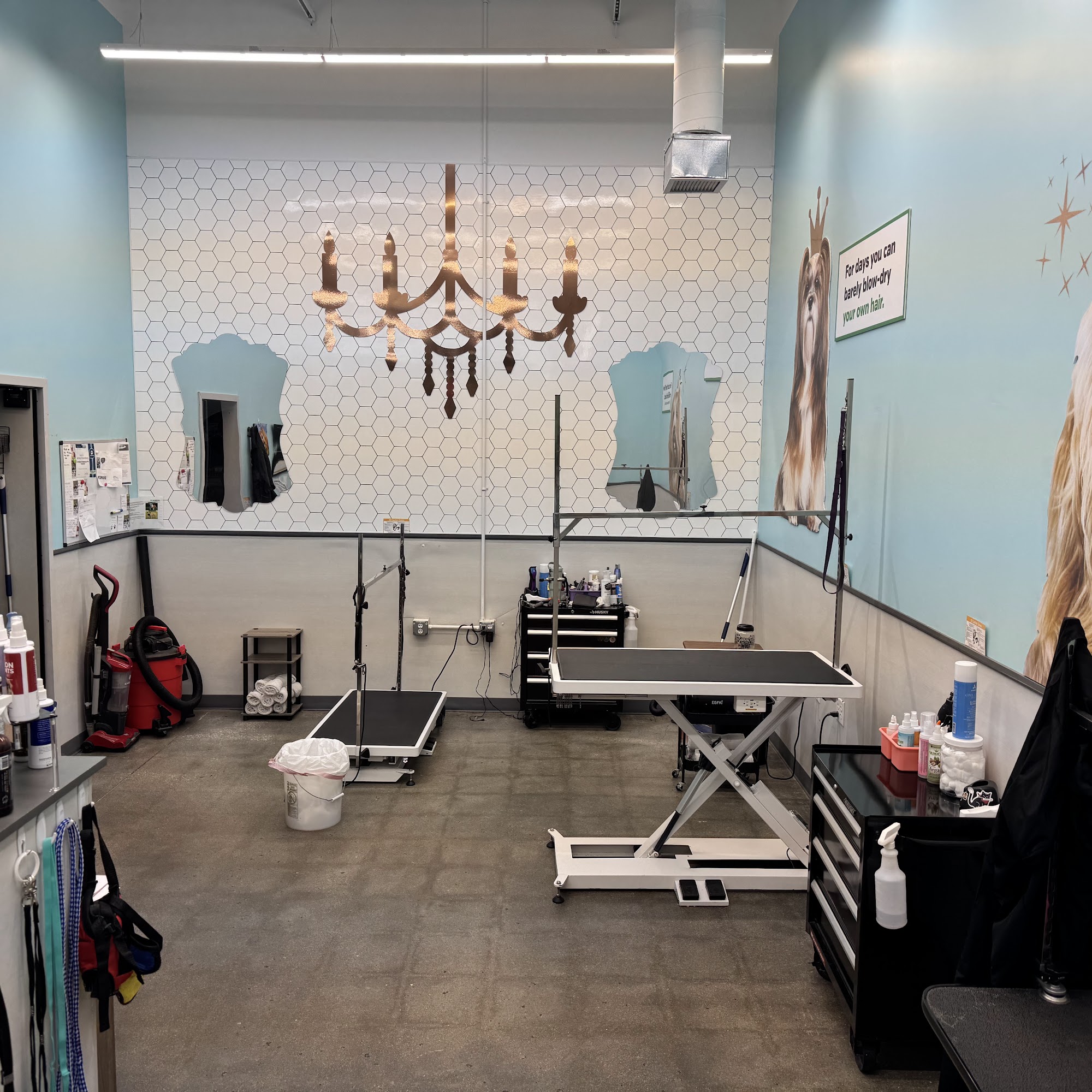 Pet Supplies Plus Fort Dodge Fort Dodge