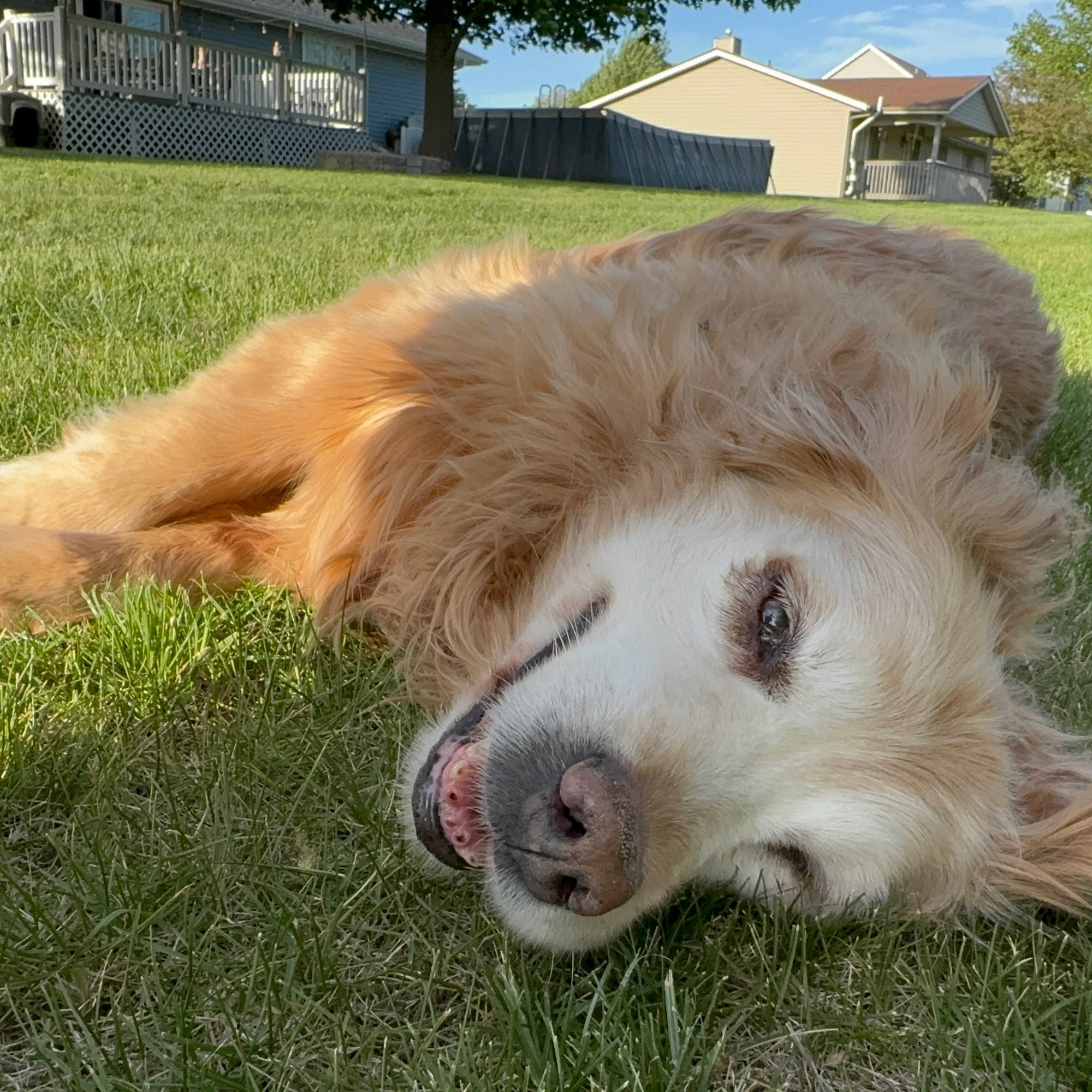 Walljasper Veterinary Clinic Fort Madison