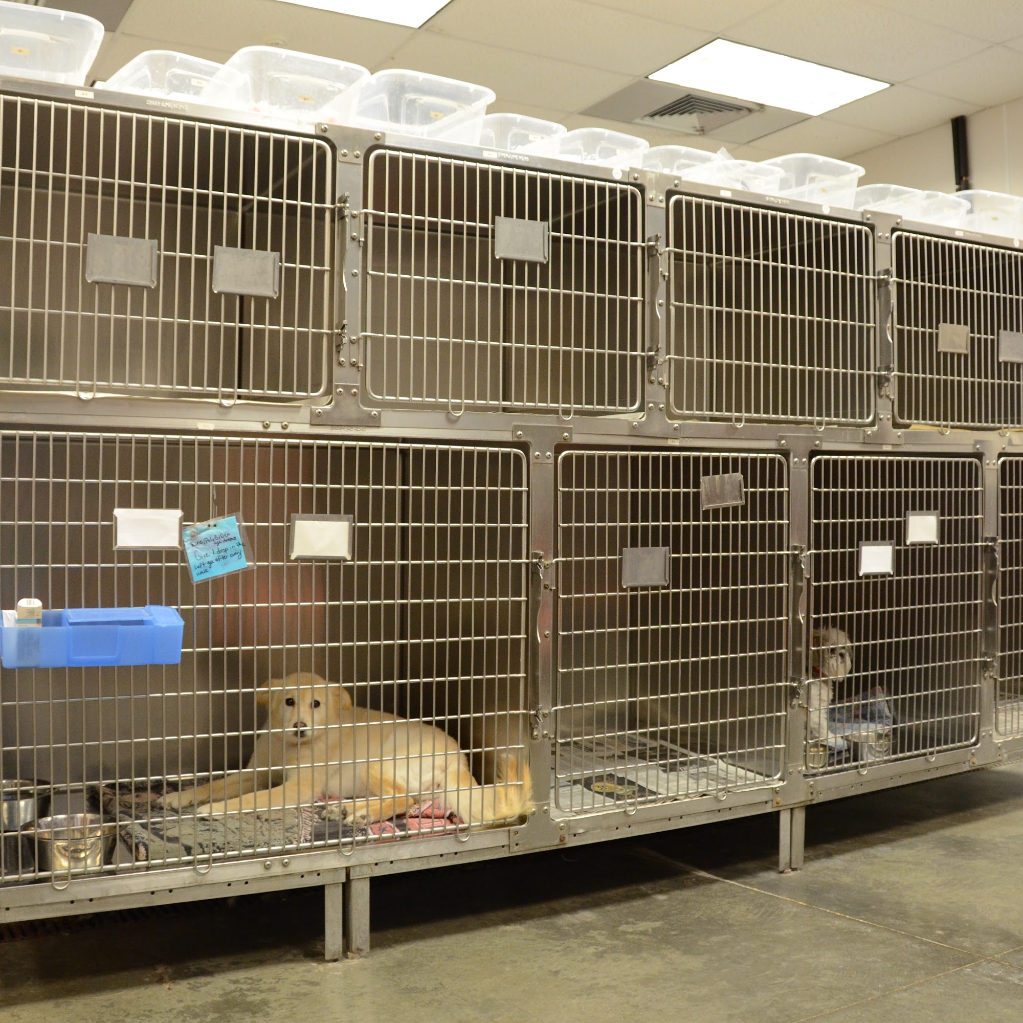 The Animal Clinic Glenwood