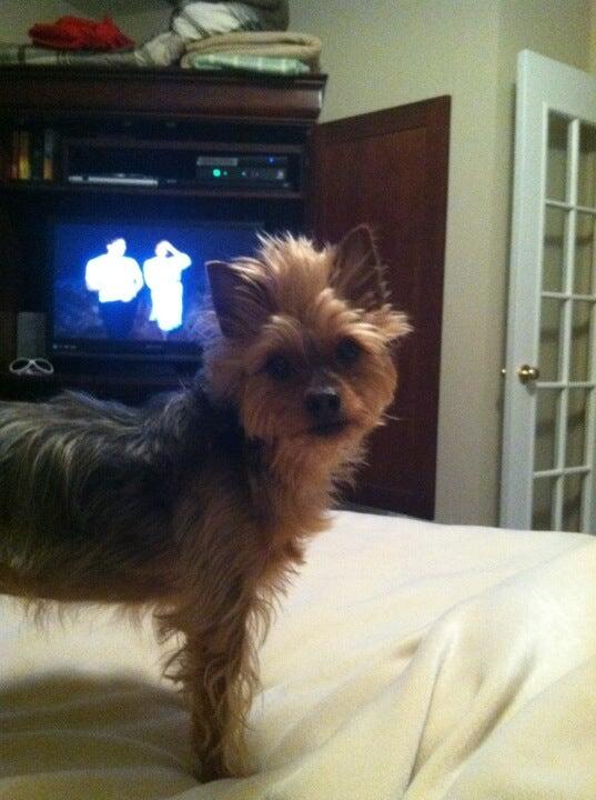 Photo credit: nextdoor