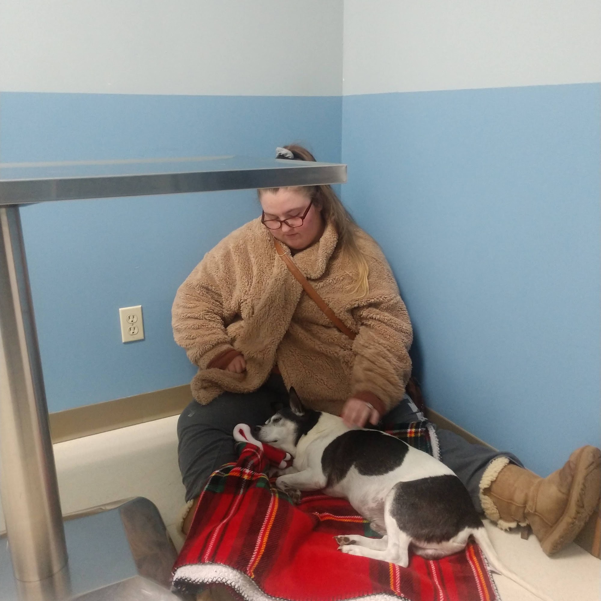 Grimes Plaza Veterinary Clinic Grimes