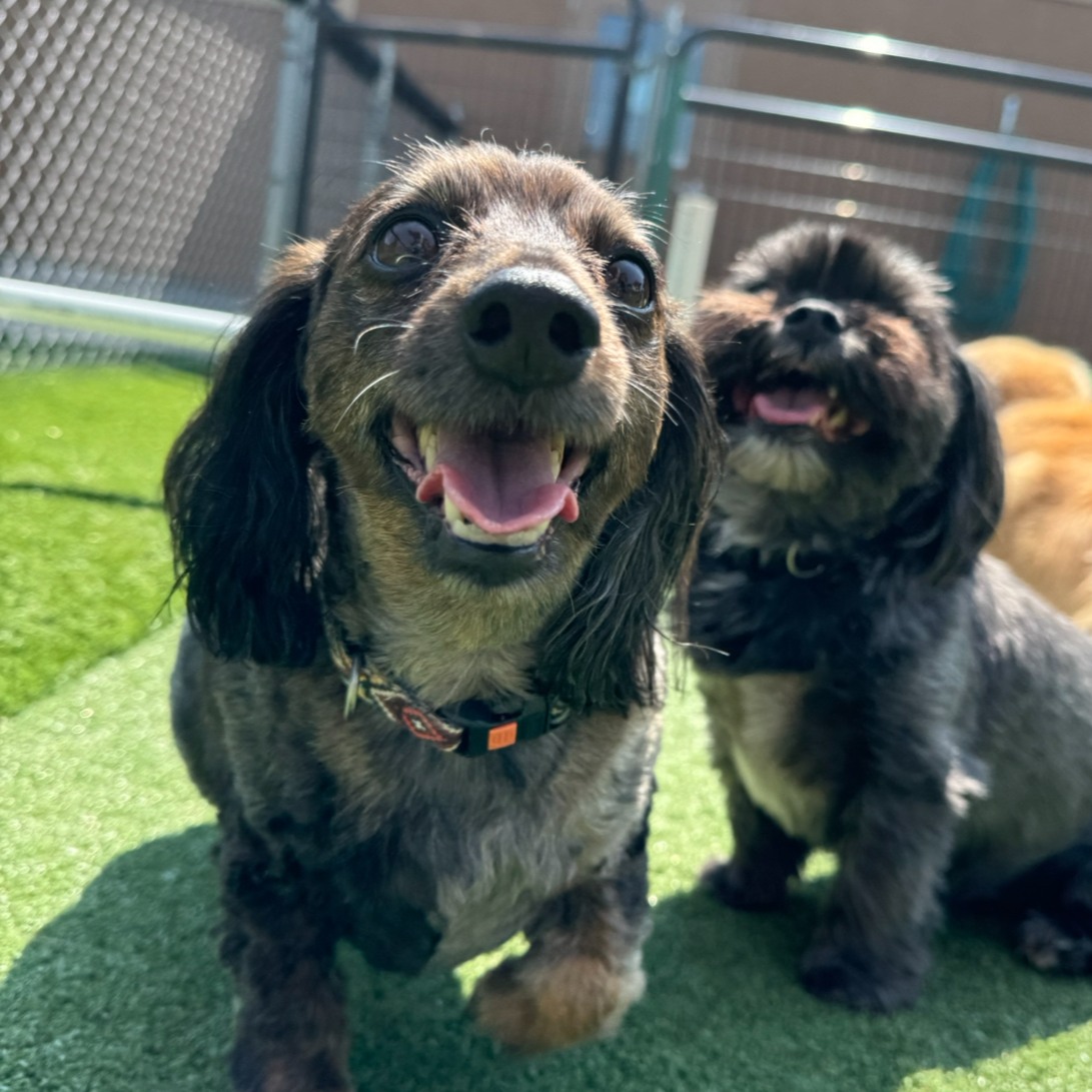 Dogwoods Lodge Grimes