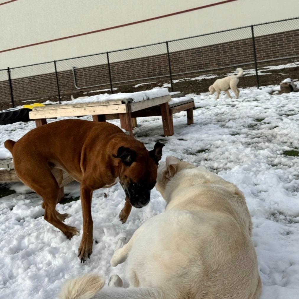 Dogwoods Lodge Grimes