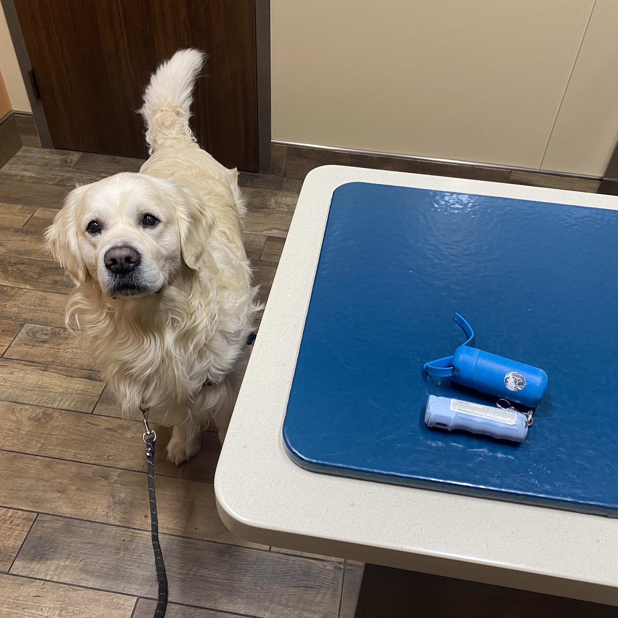 Petersen Pet Hospital Hiawatha