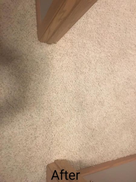 A-1 Carpet Services