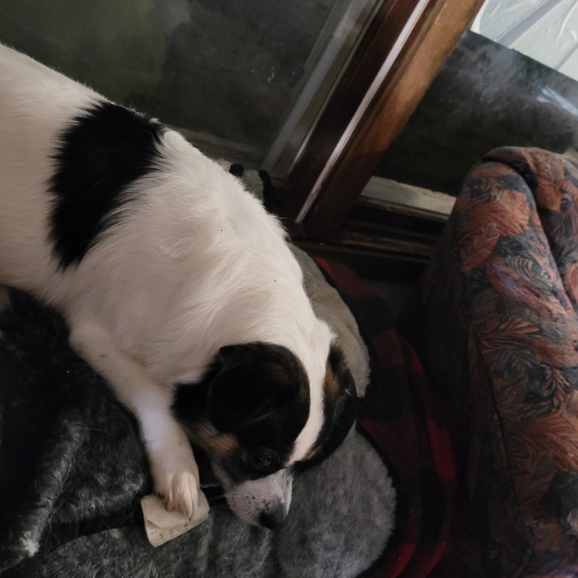 Hudson Veterinary Clinic Hudson