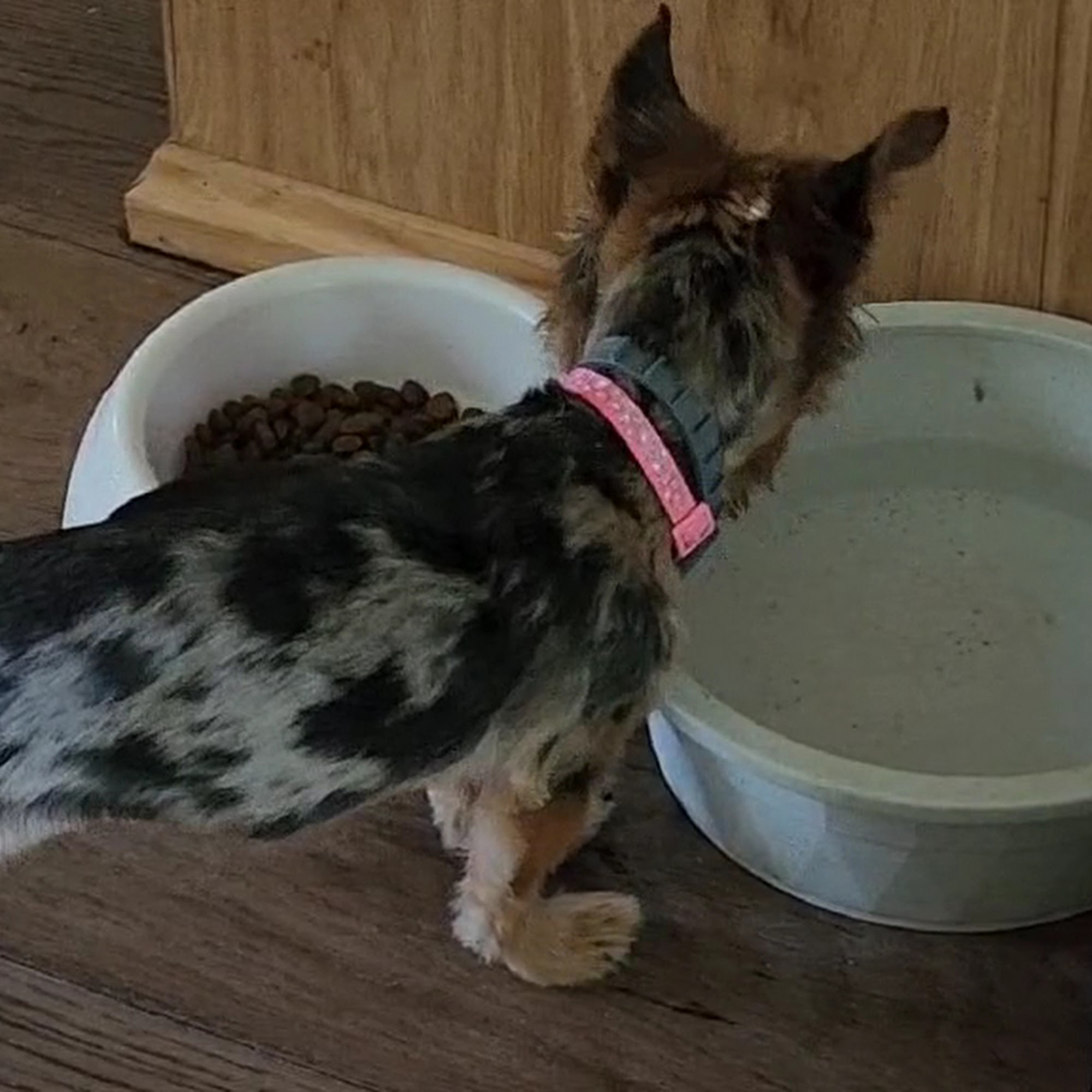 Humboldt Veterinary Clinic, P.C. Humboldt