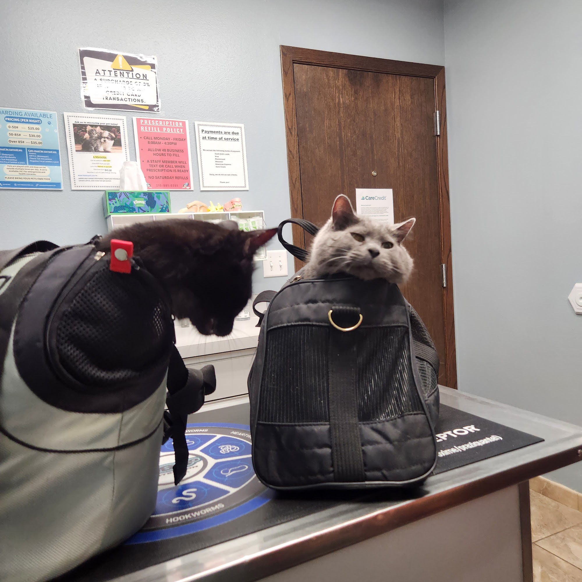 Indianola Veterinary Clinic Indianola