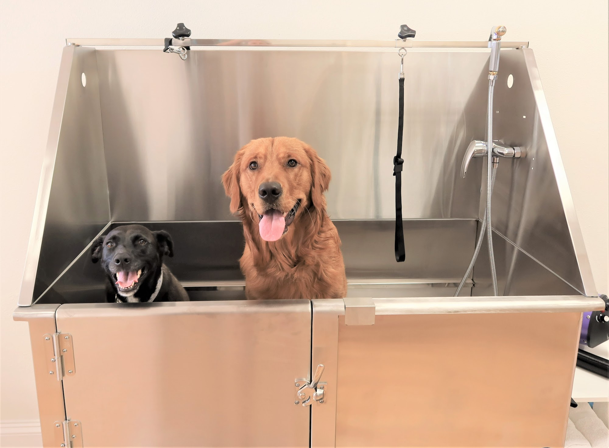 Clean & Breezy: Professional & Self-Service Dog Baths Johnston