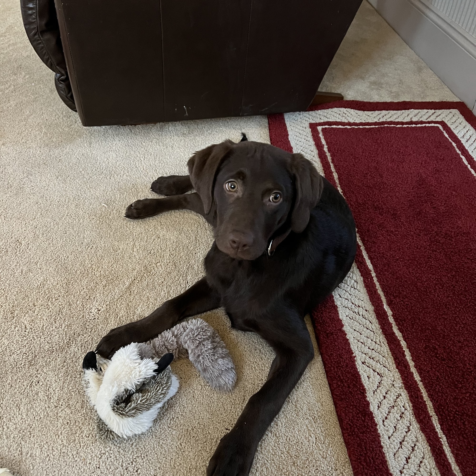 Two Rivers Veterinary Center, Inc. Keokuk