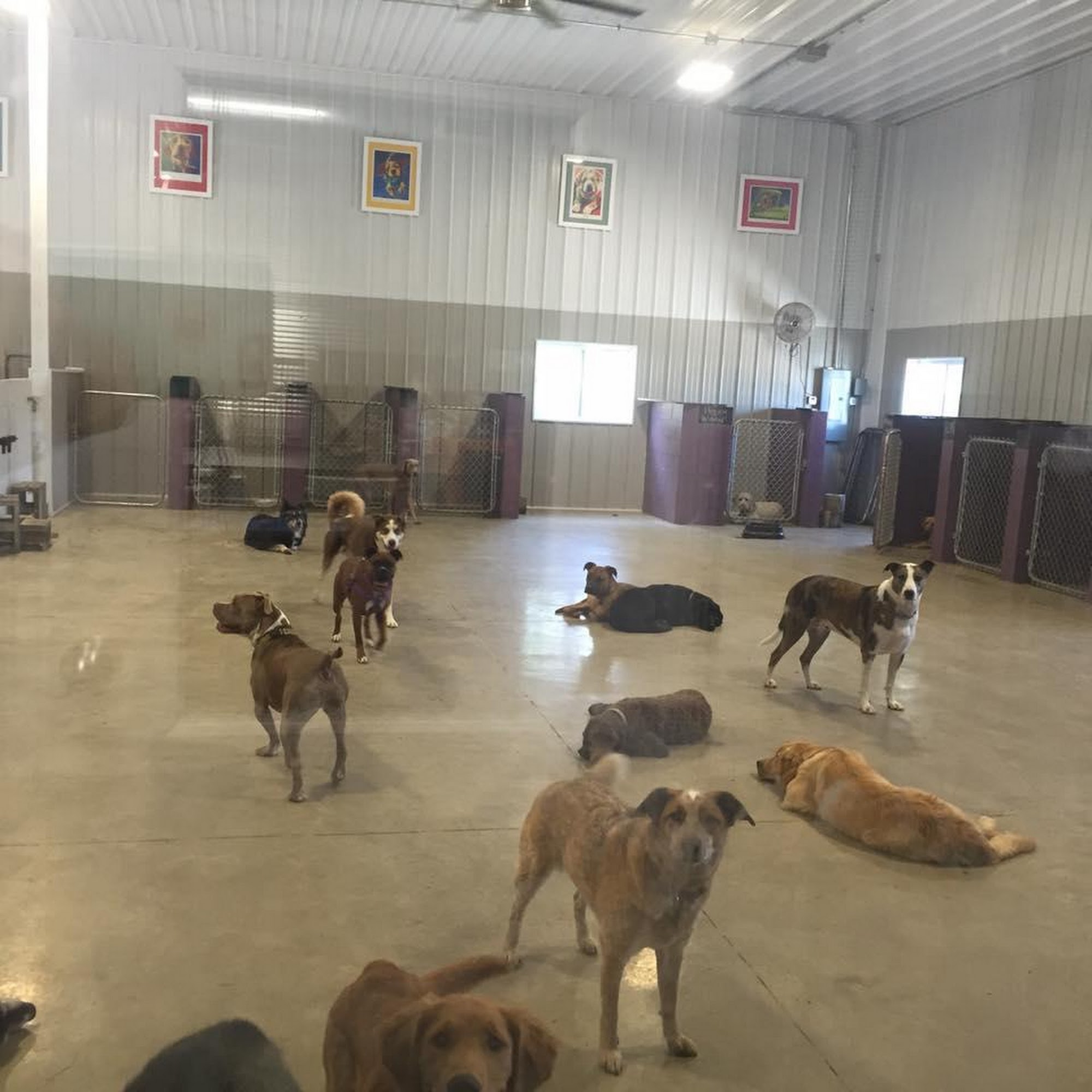 Happy Tails Marshalltown