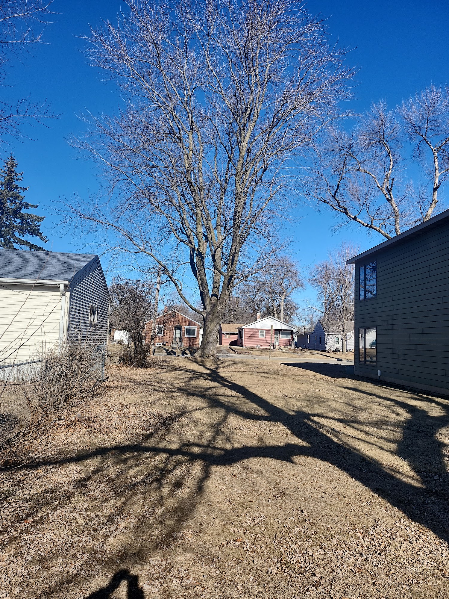 American Arbor Iowa