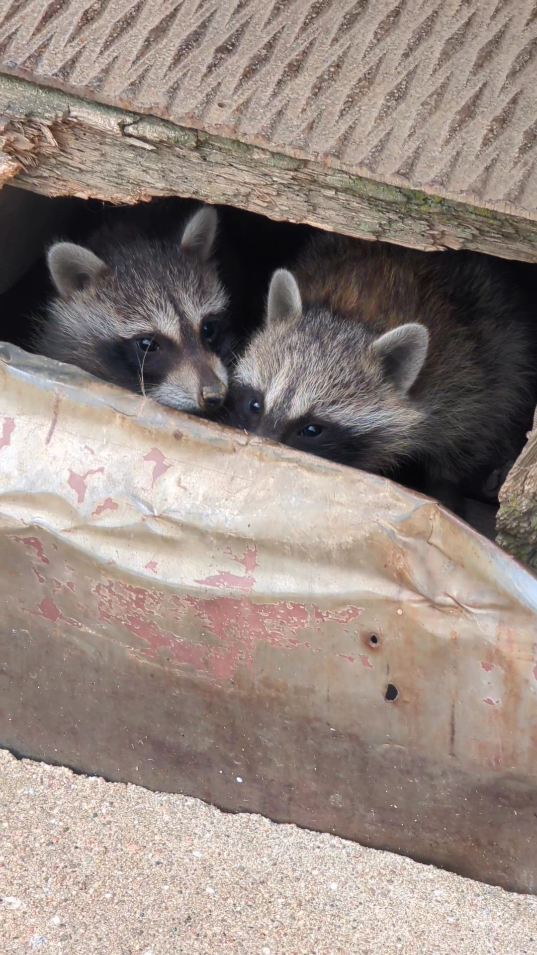 Westwind Logistics LLC McClelland