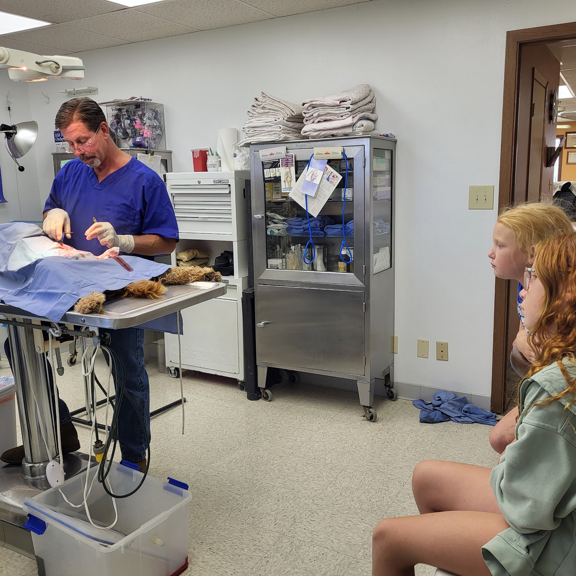 Monona Veterinary Services Monona