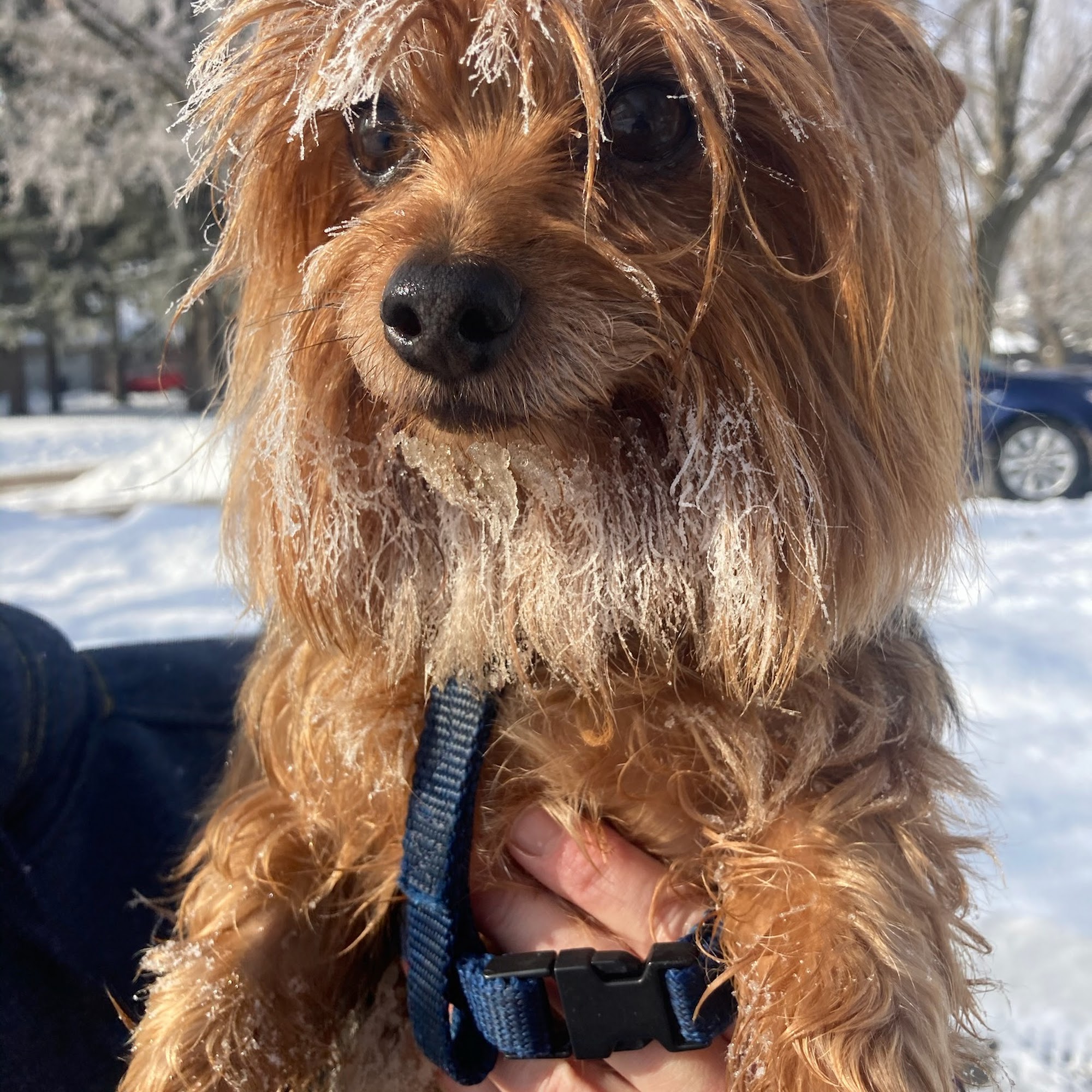 Pet Health Center of Mount Vernon Mount Vernon