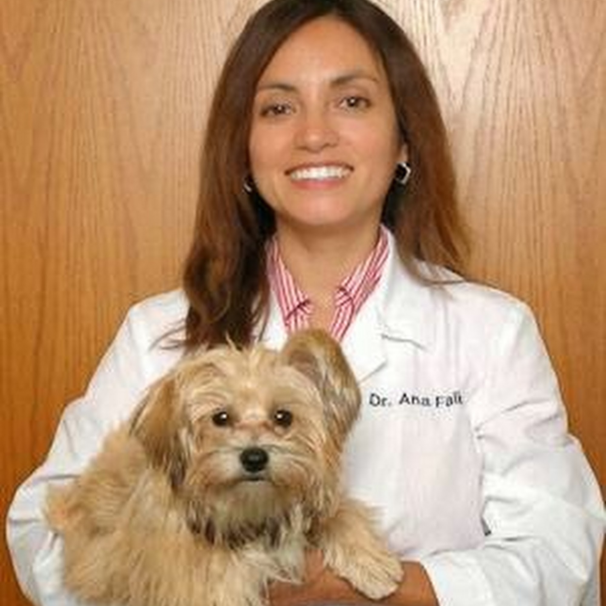 Holistic Pet Vet