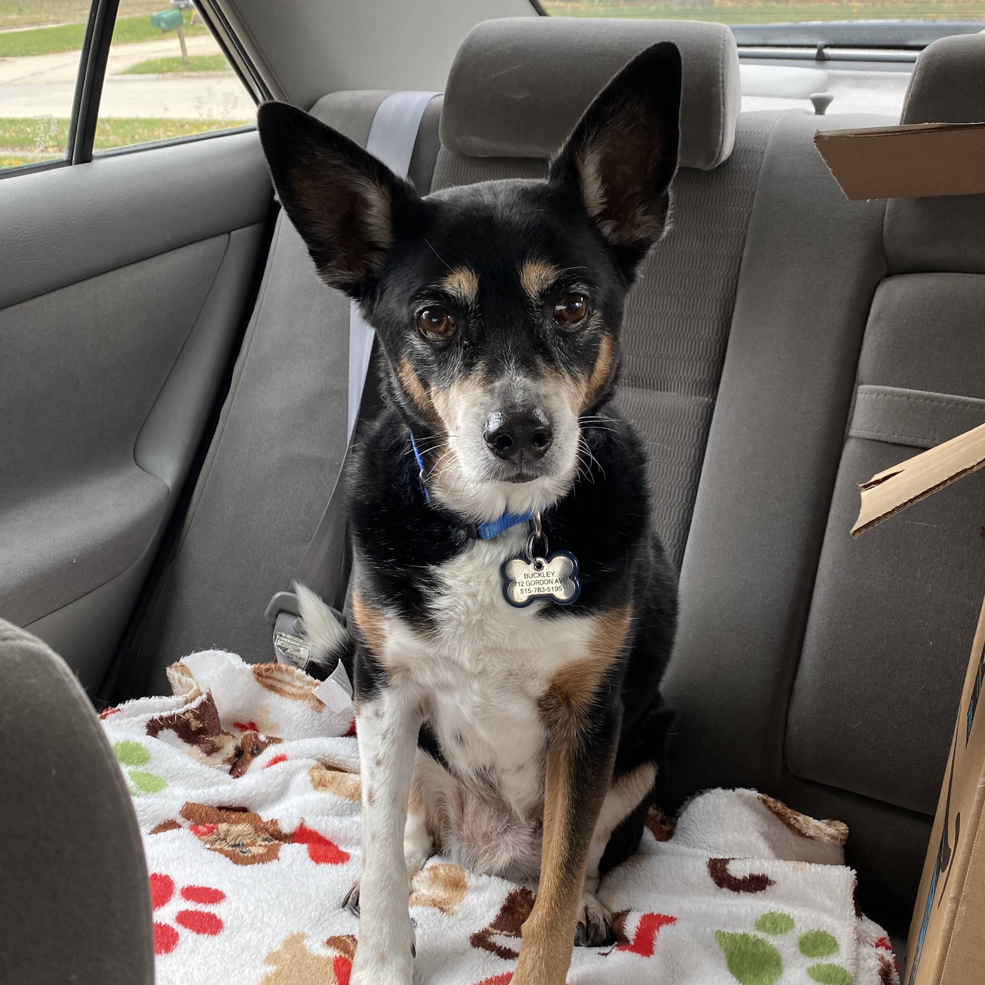 Dunham Frank DVM Norwalk