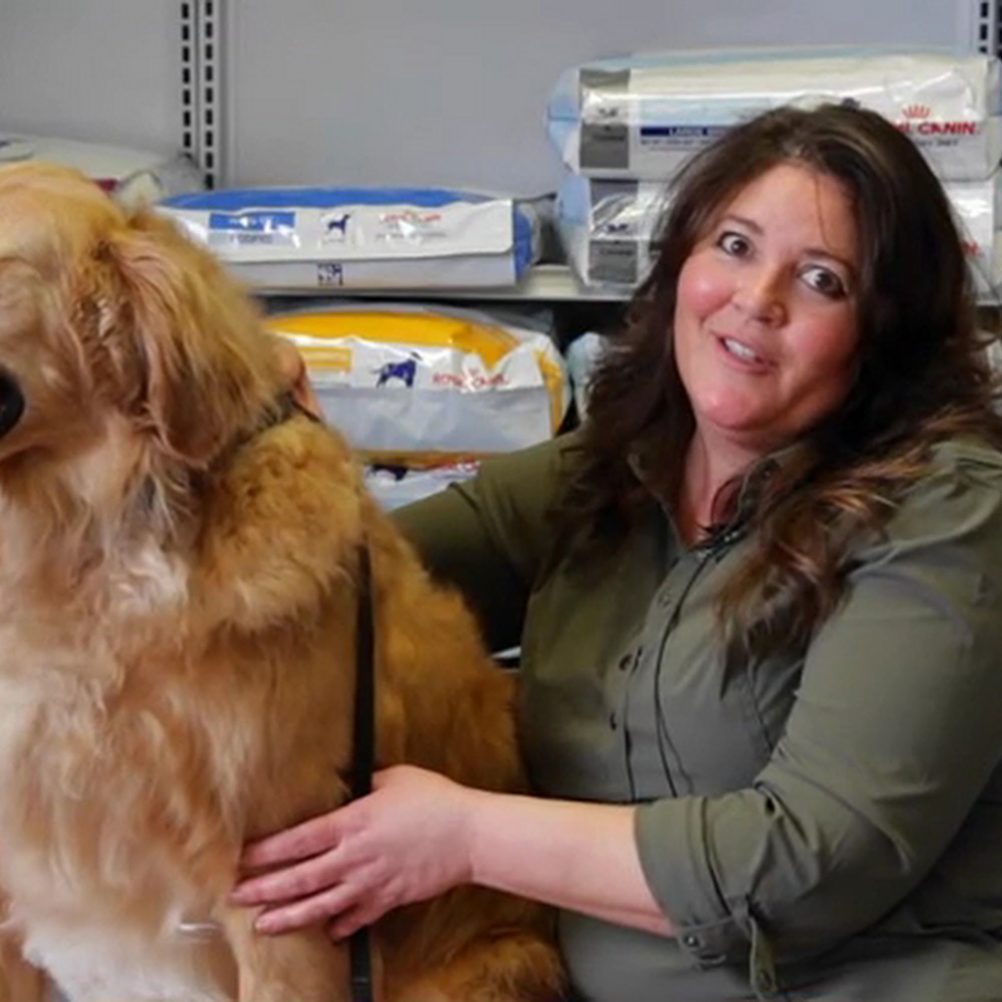 Family Pet Veterinary Center Norwalk