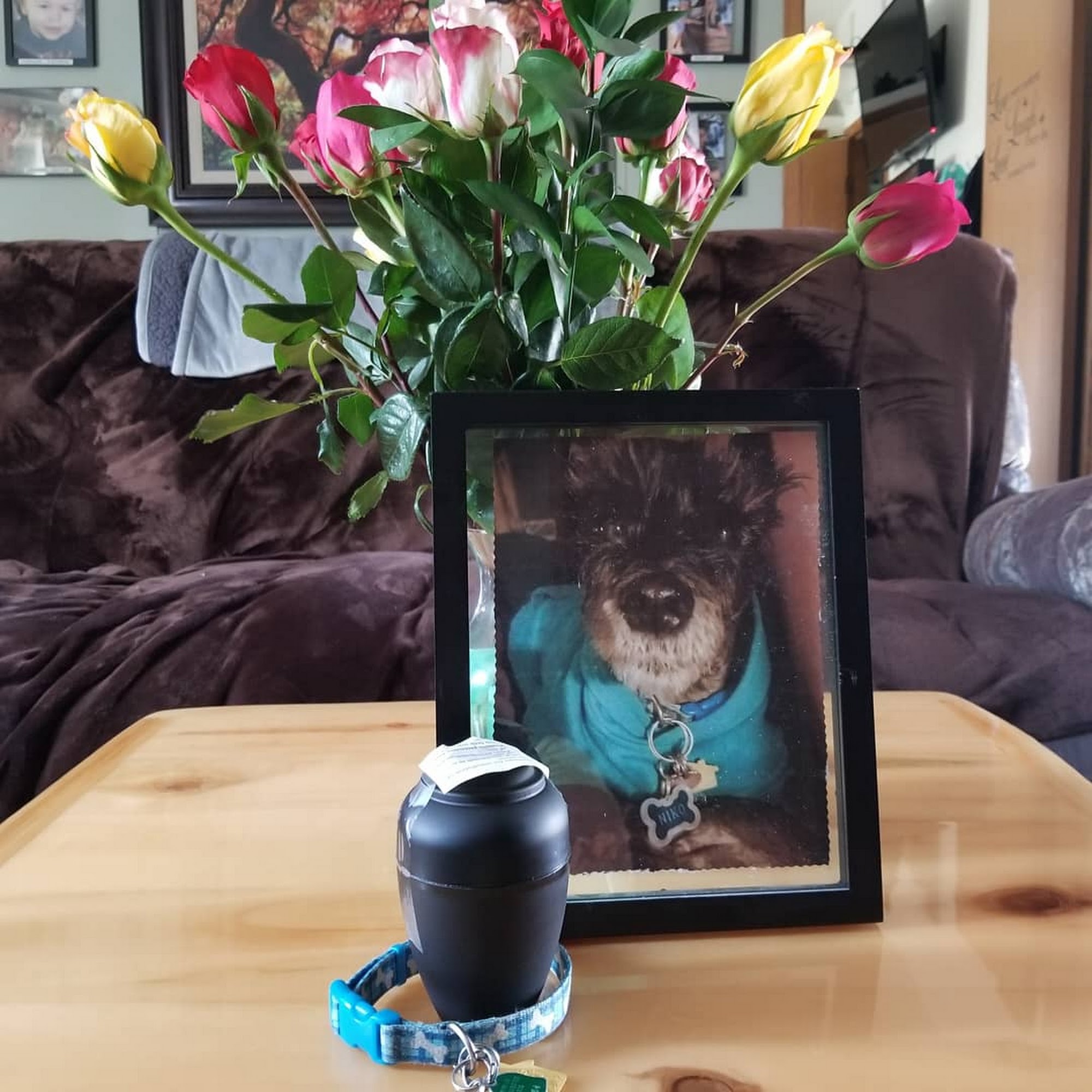 Osceola Veterinary Clinic Osceola