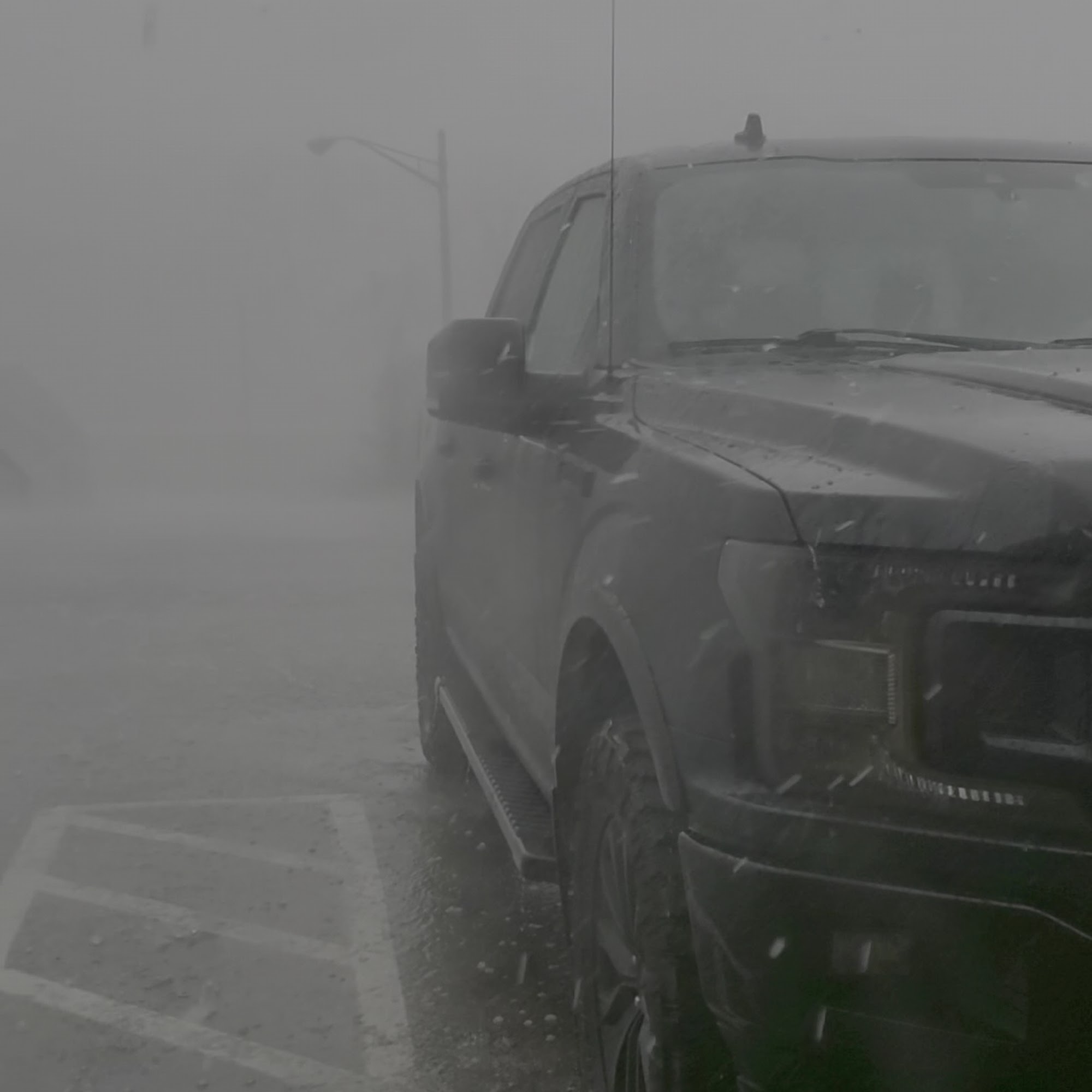 Thomas Veterinary Clinic Ottumwa