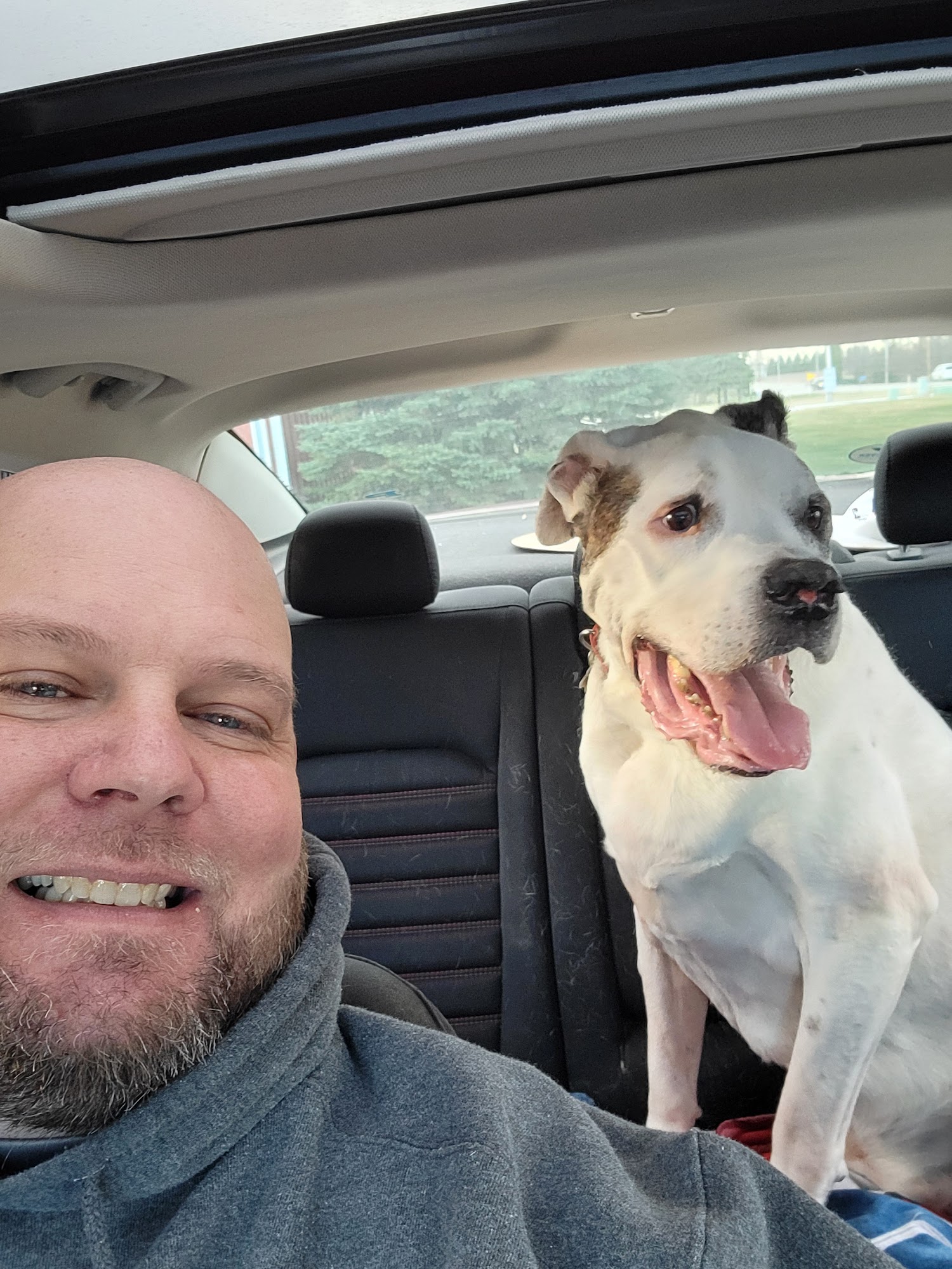 Perry Animal Clinic Pc Perry