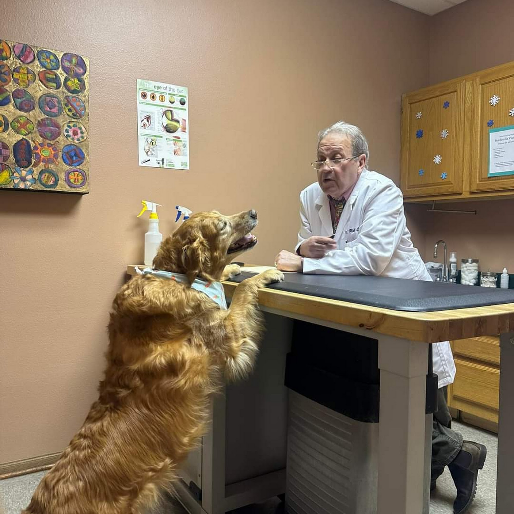 Polk City Veterinary Hospital Polk City