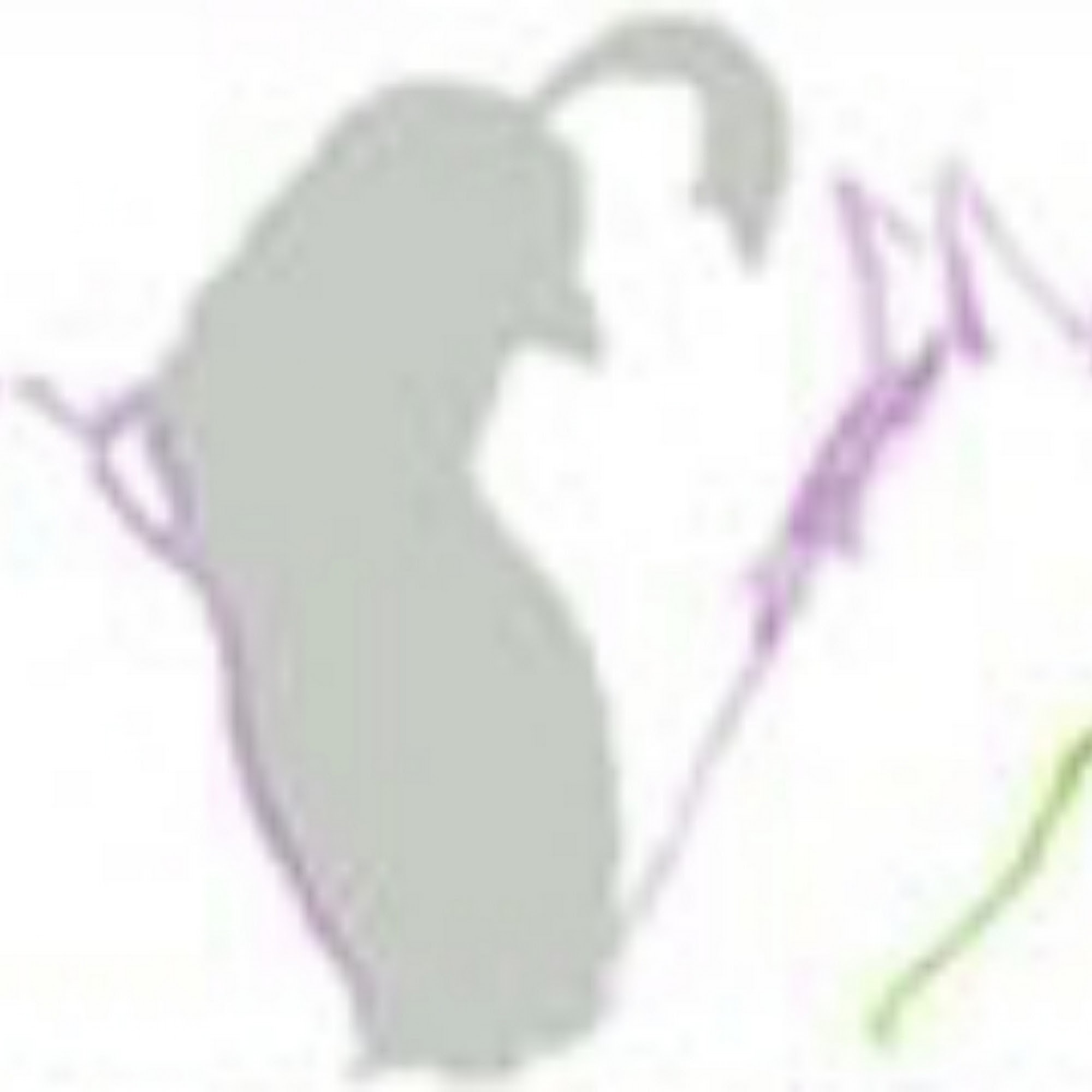 Quail Run Veterinary Services Roland