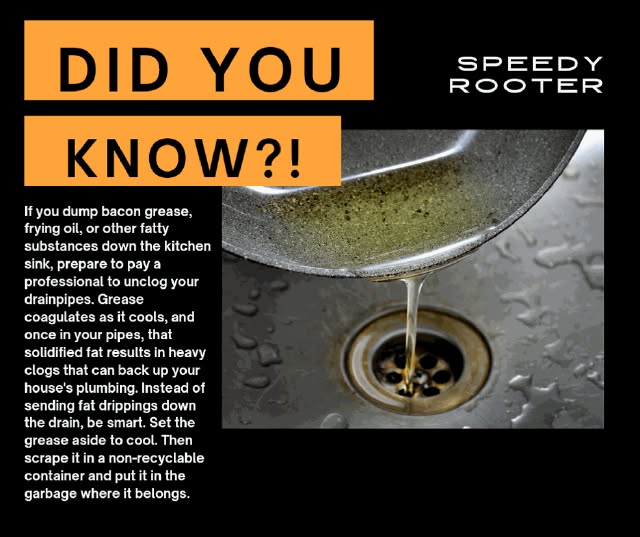 Speedy Rooter Plumbing