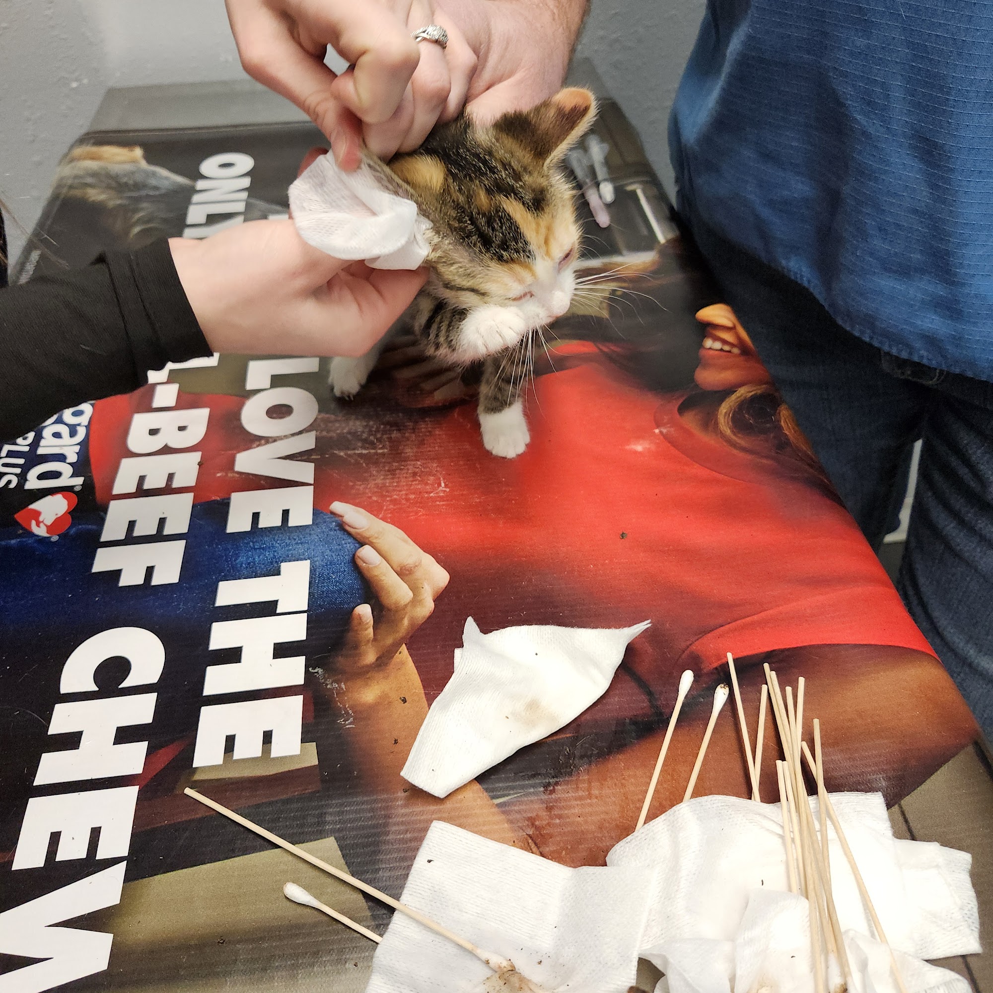 Keokuk County Veterinary Clinic
