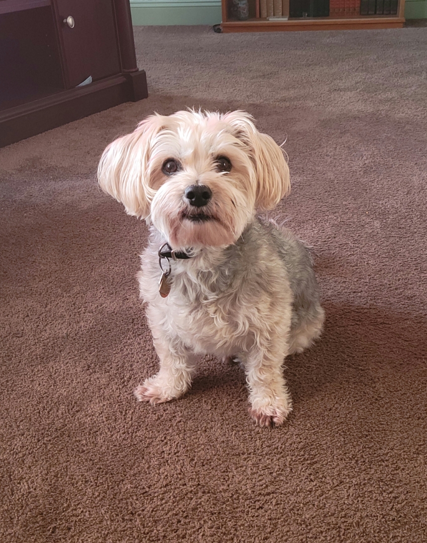 Keokuk County Veterinary Clinic