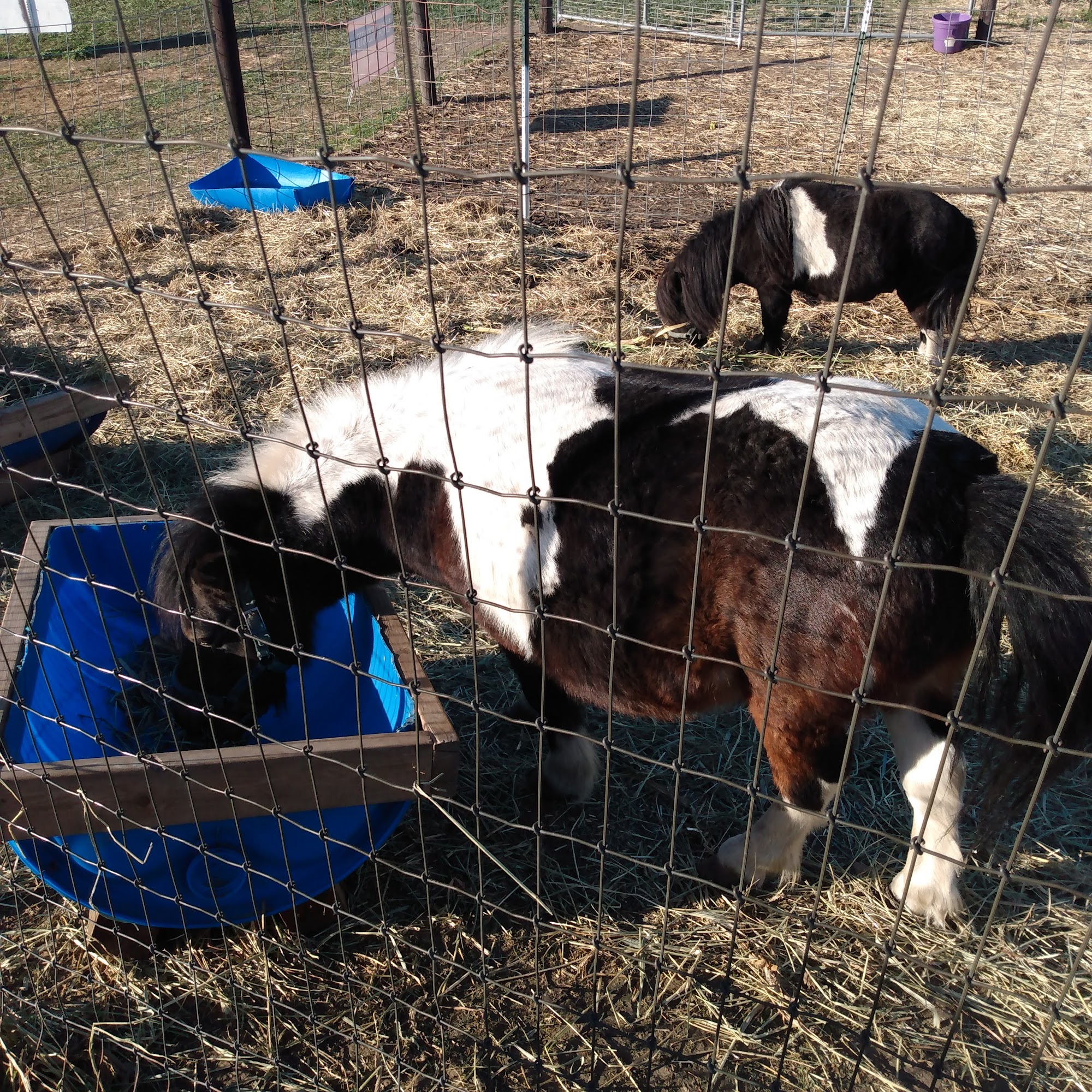 Fields of Fun Sioux Center