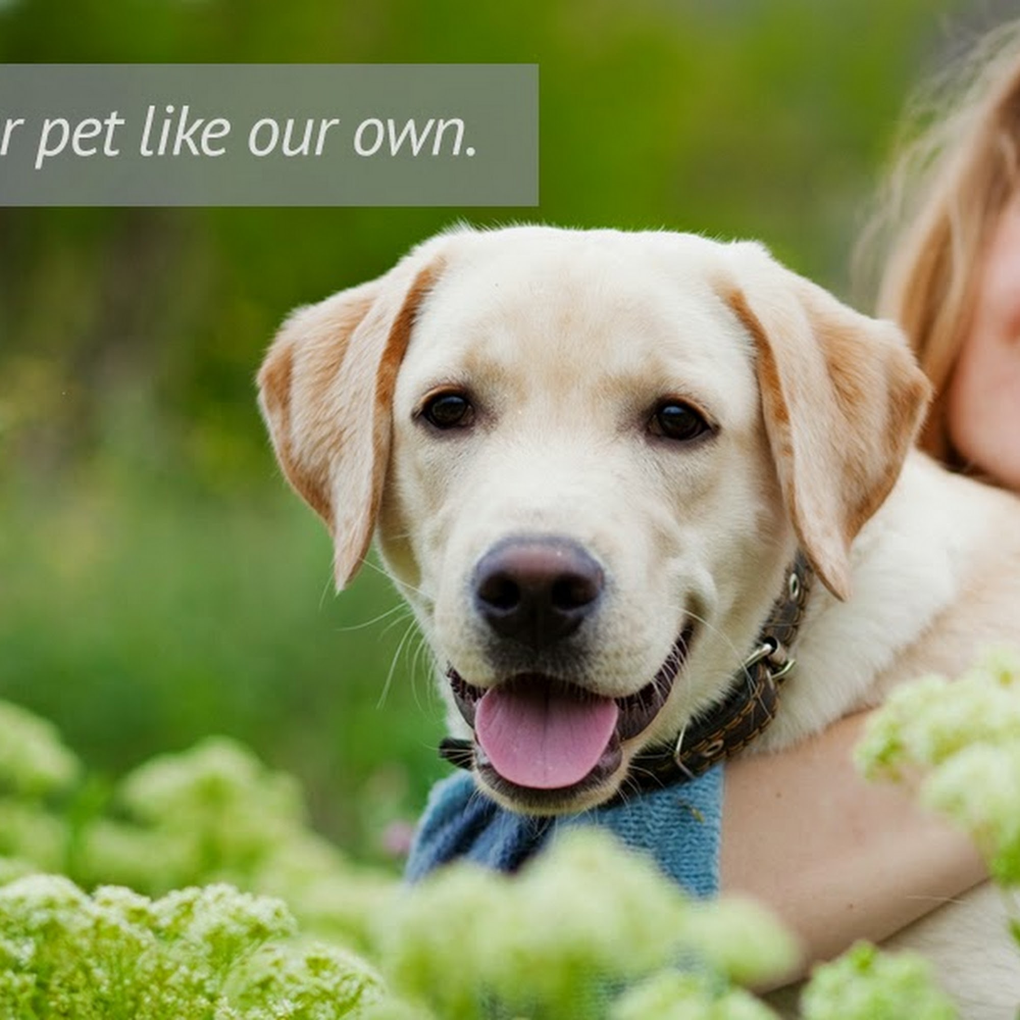 Elk Creek Animal Hospital Sioux City