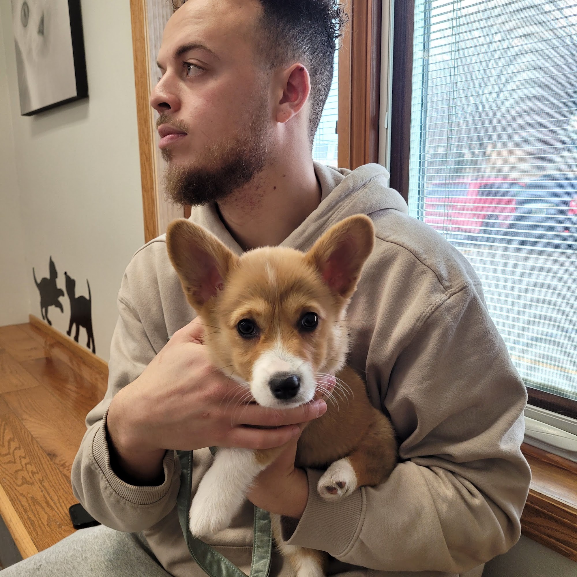 Siouxland Animal Hospital Sioux City