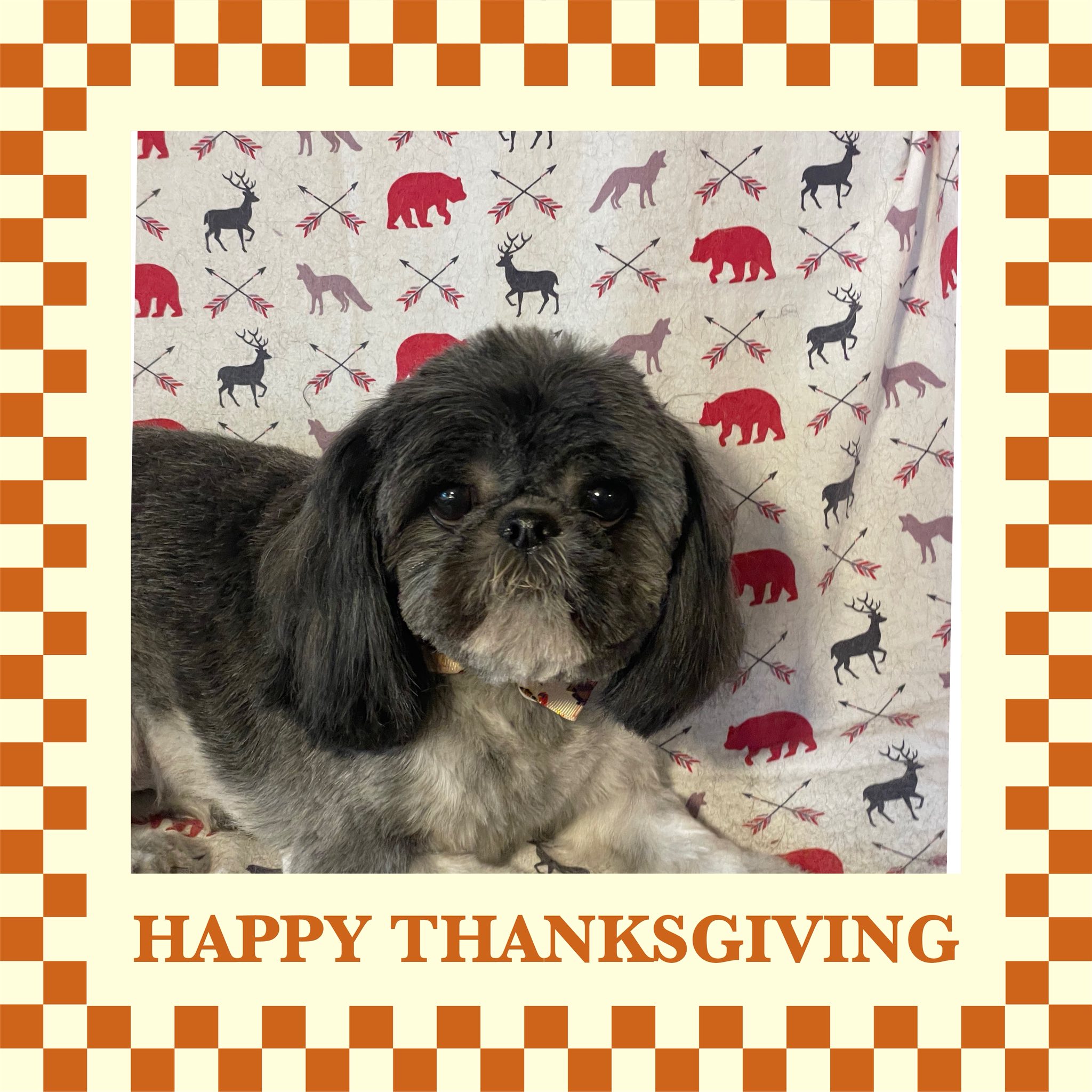 Canine Chateau Sioux City