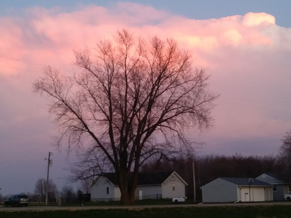 Photo credit: 