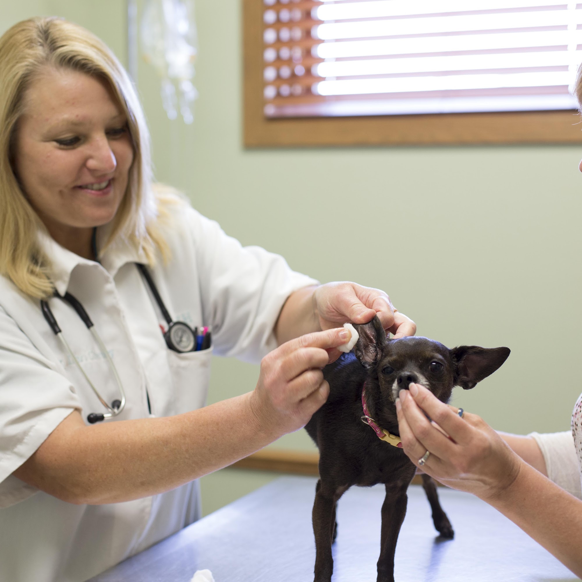 Den Herder Veterinary Hospital Waterloo