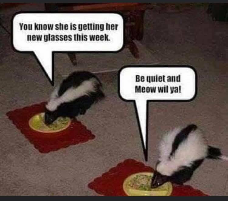 Halbur Family Eye Care