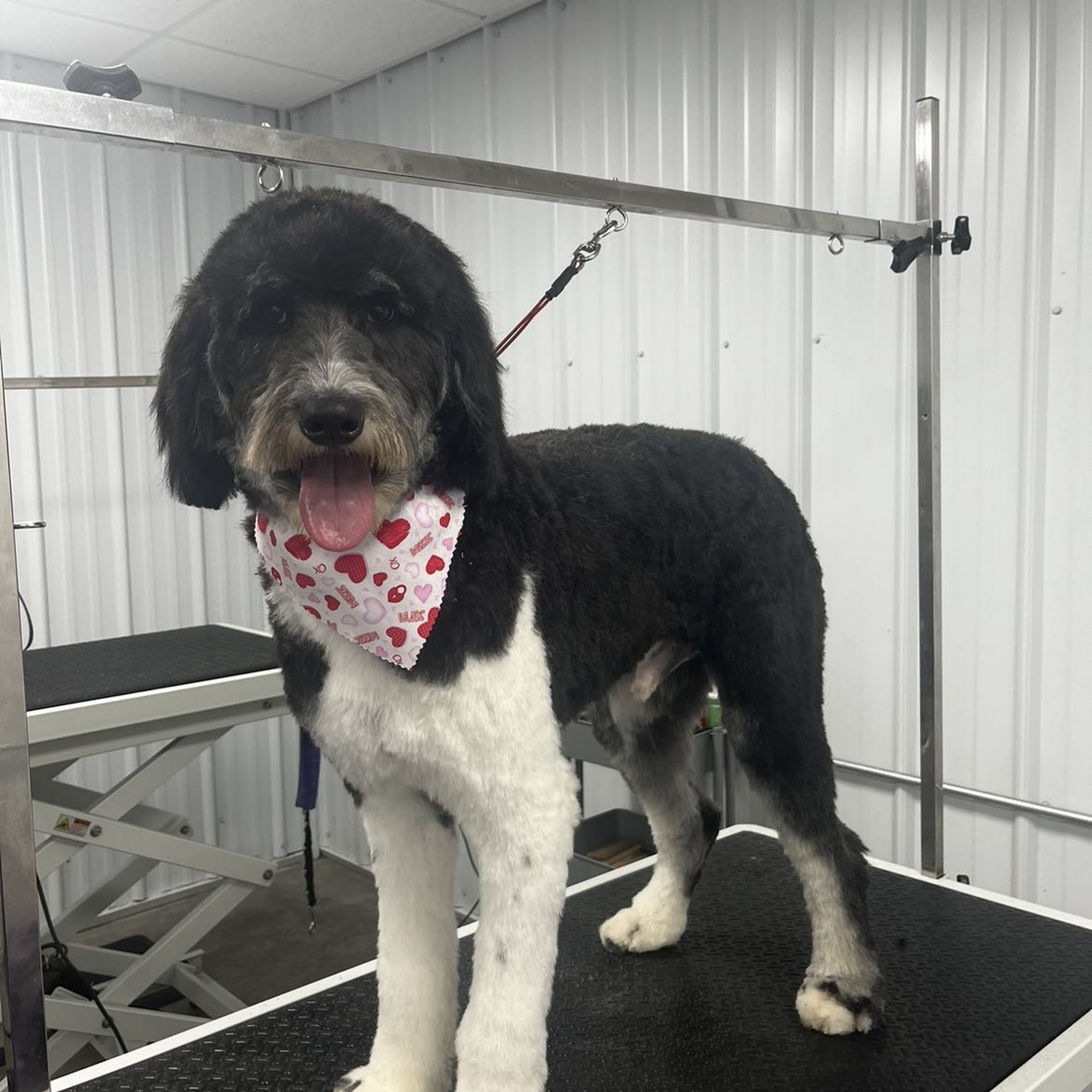 Forest Mills Board and Groom LLC Waukon