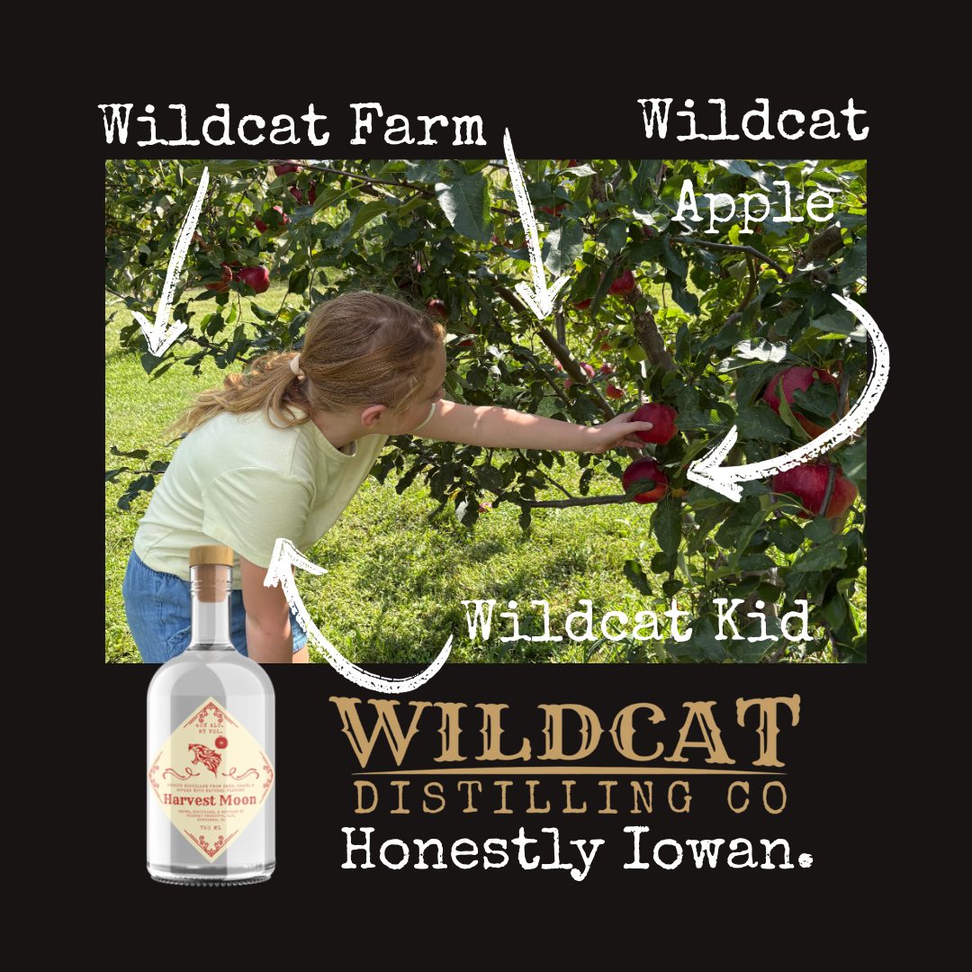 Wildcat Distilling Co. Tasting Room
