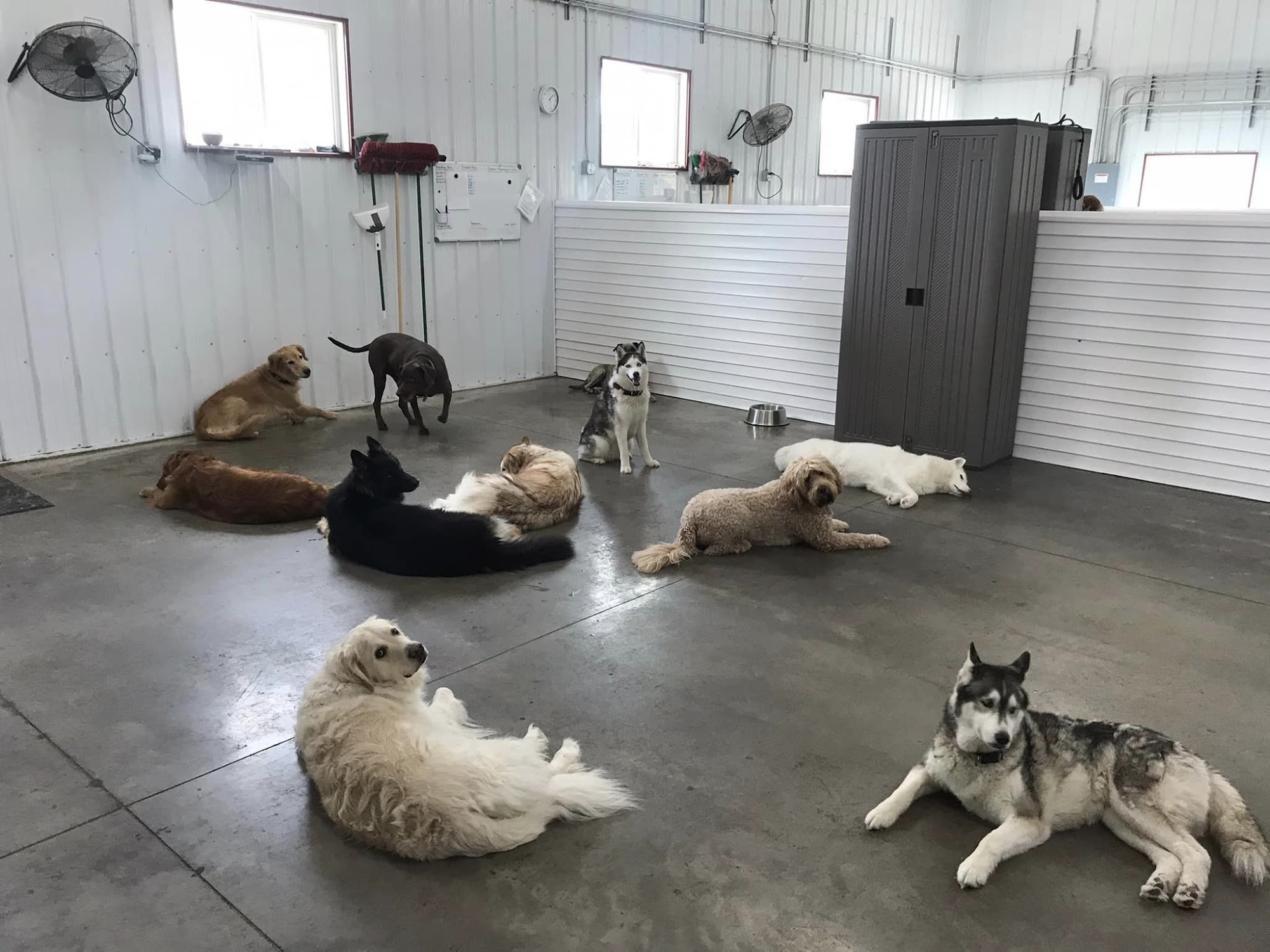 Bark & Play Daycare & Suites, L.L.C. West Burlington