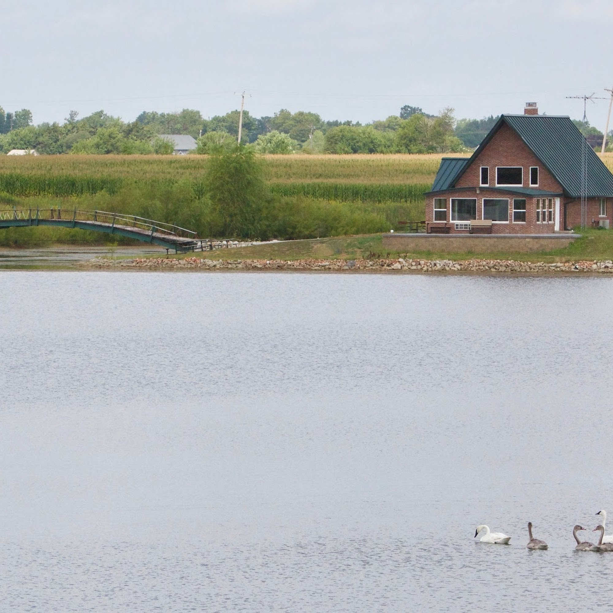 Wildlife Lakes Elk Farm Inc West Burlington