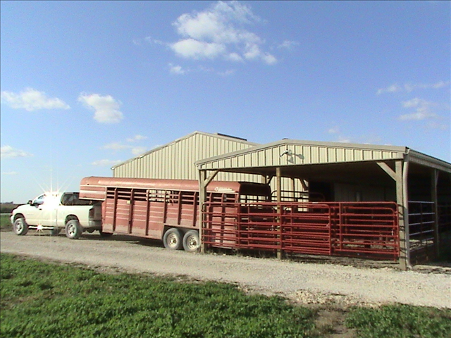 Cedar Creek Animal Clinic Winterset