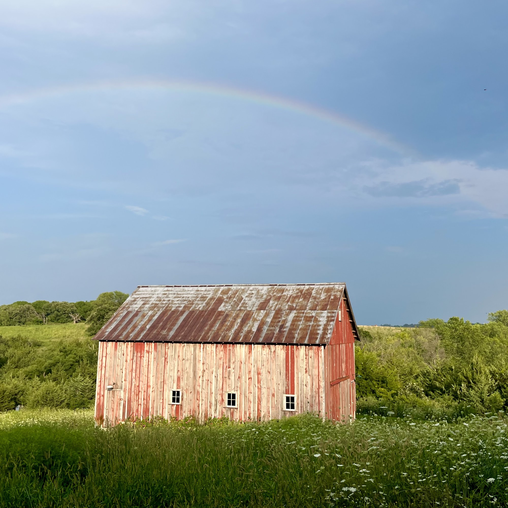 Lone Oaks Farm Winterset
