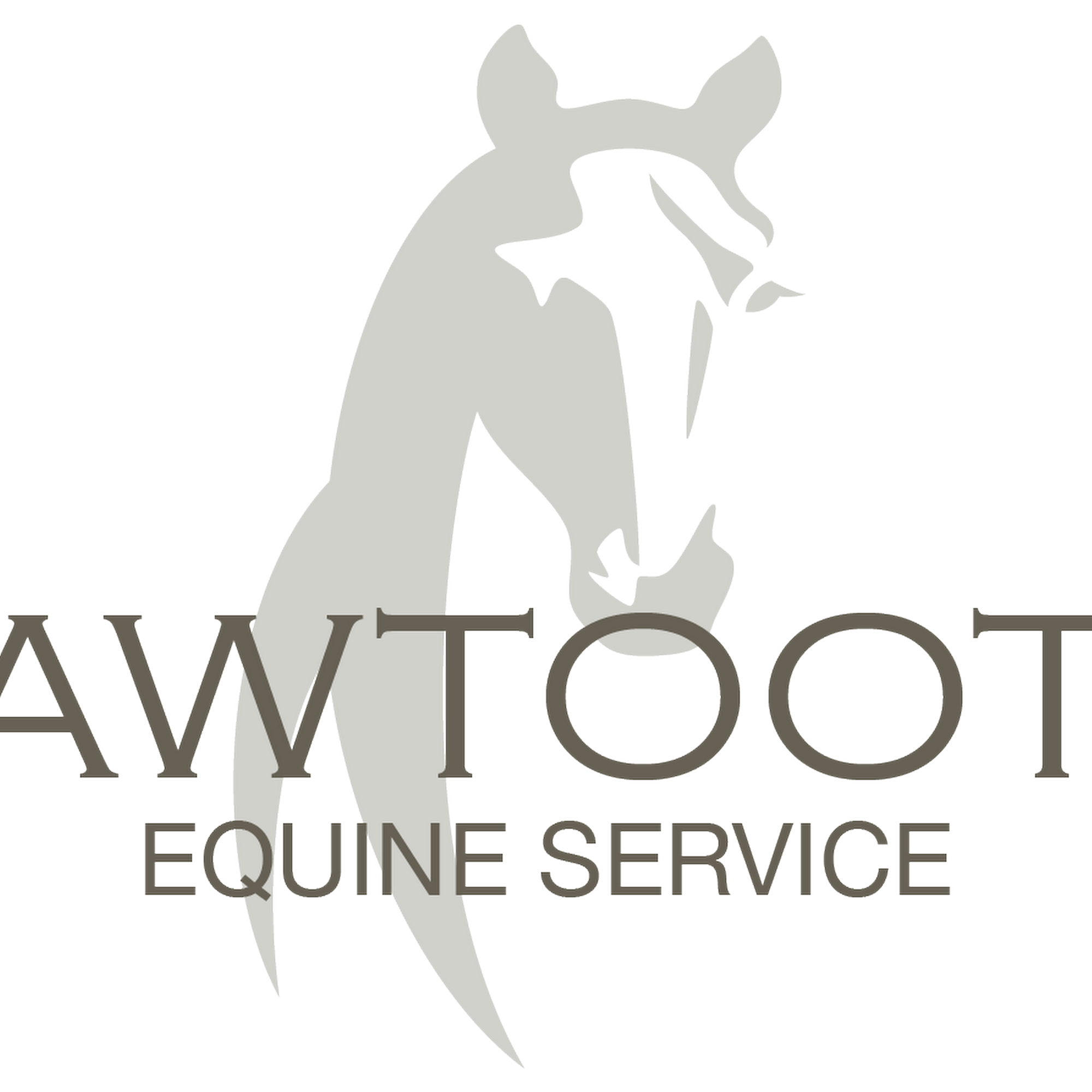 Sawtooth Equine Services Bellevue